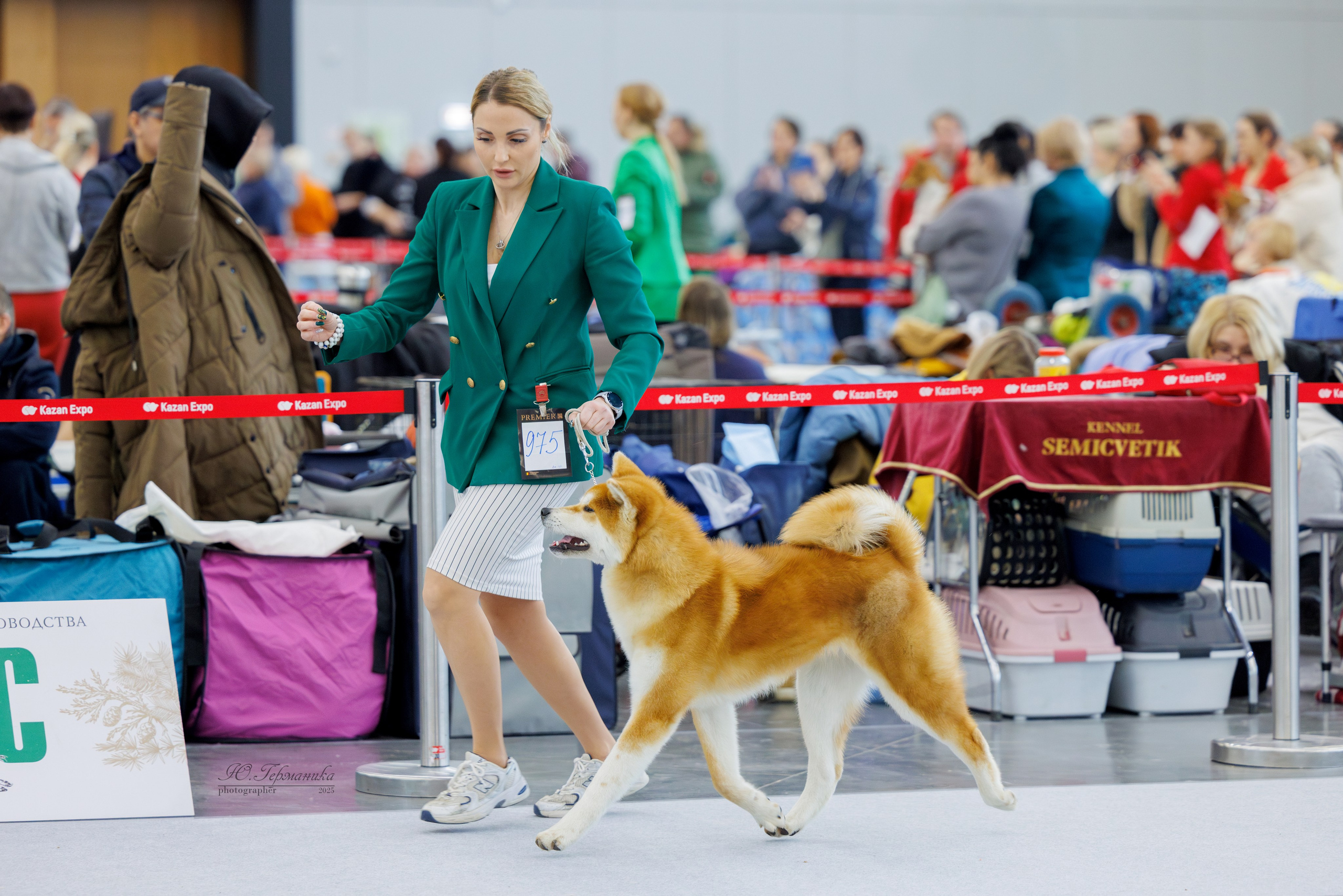 Сабанеевка Казань 25-26.01.2025. Фотограф-анималист Юлия Германика