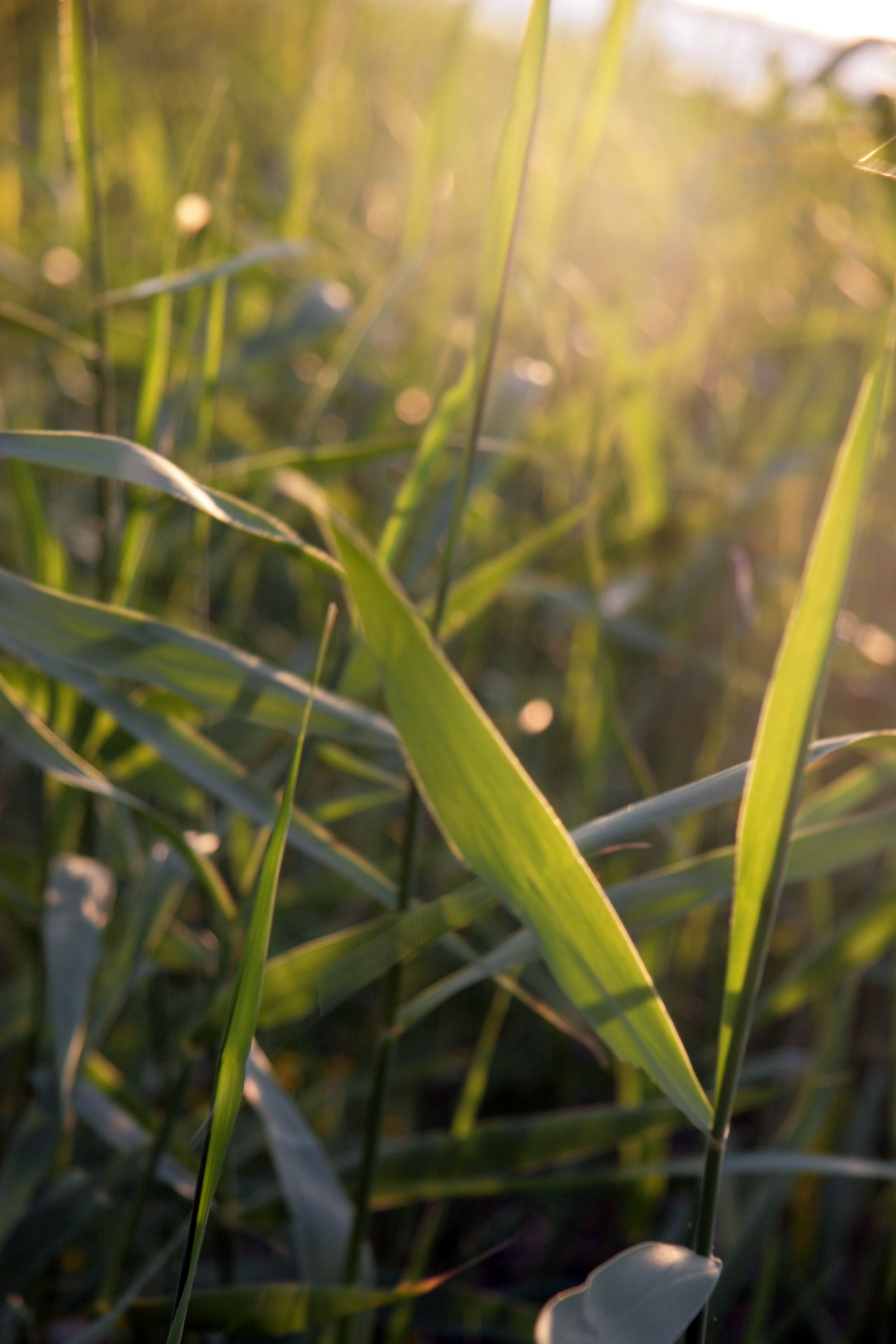 Фото Природы Забайкалья. Студия Максима Белослюдцева