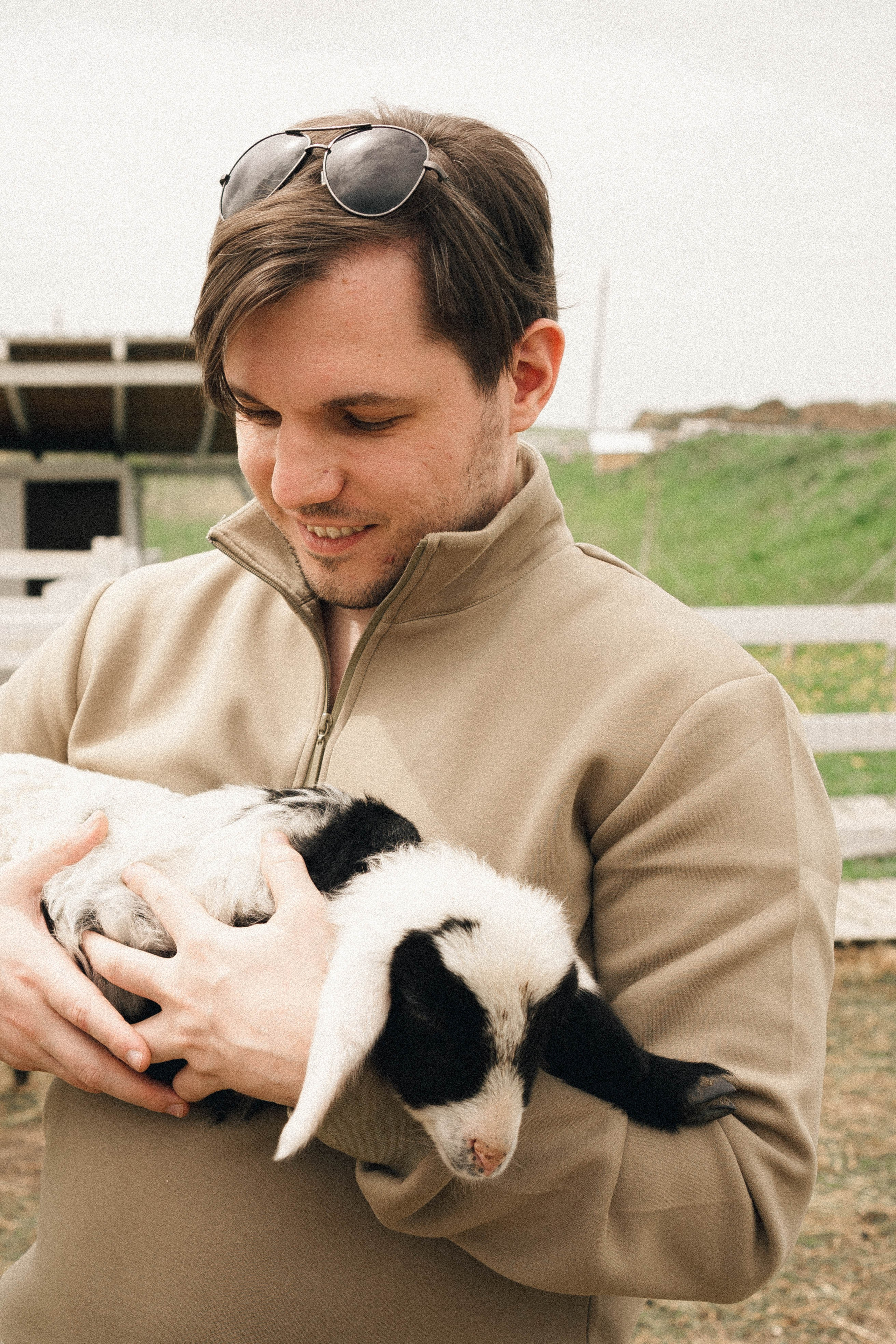 Ферма Альпак. Профессиональный фотограф, Санкт-Петербург — Виктория Богомолова