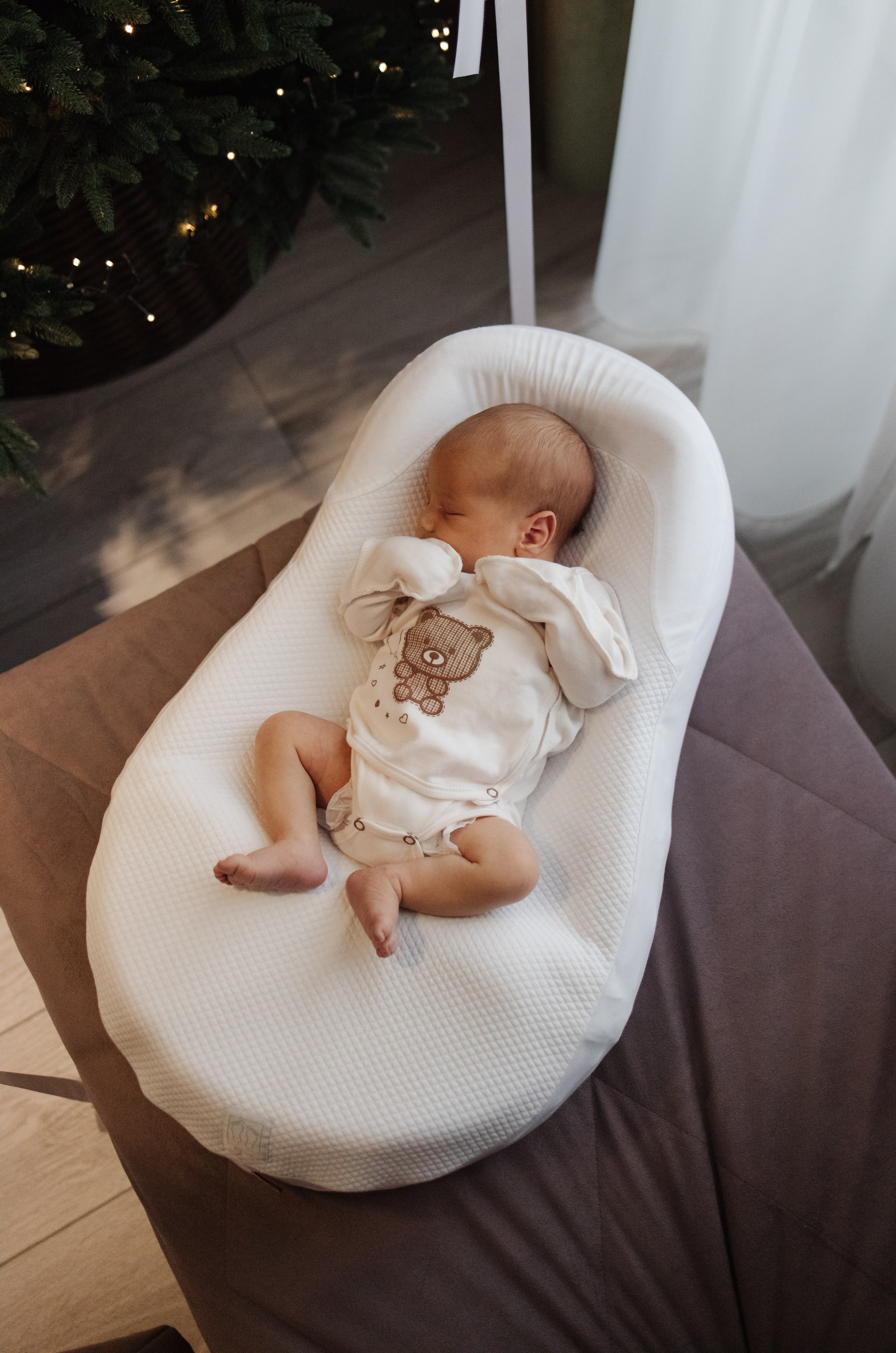 Гордей. Фотограф Новосибирск