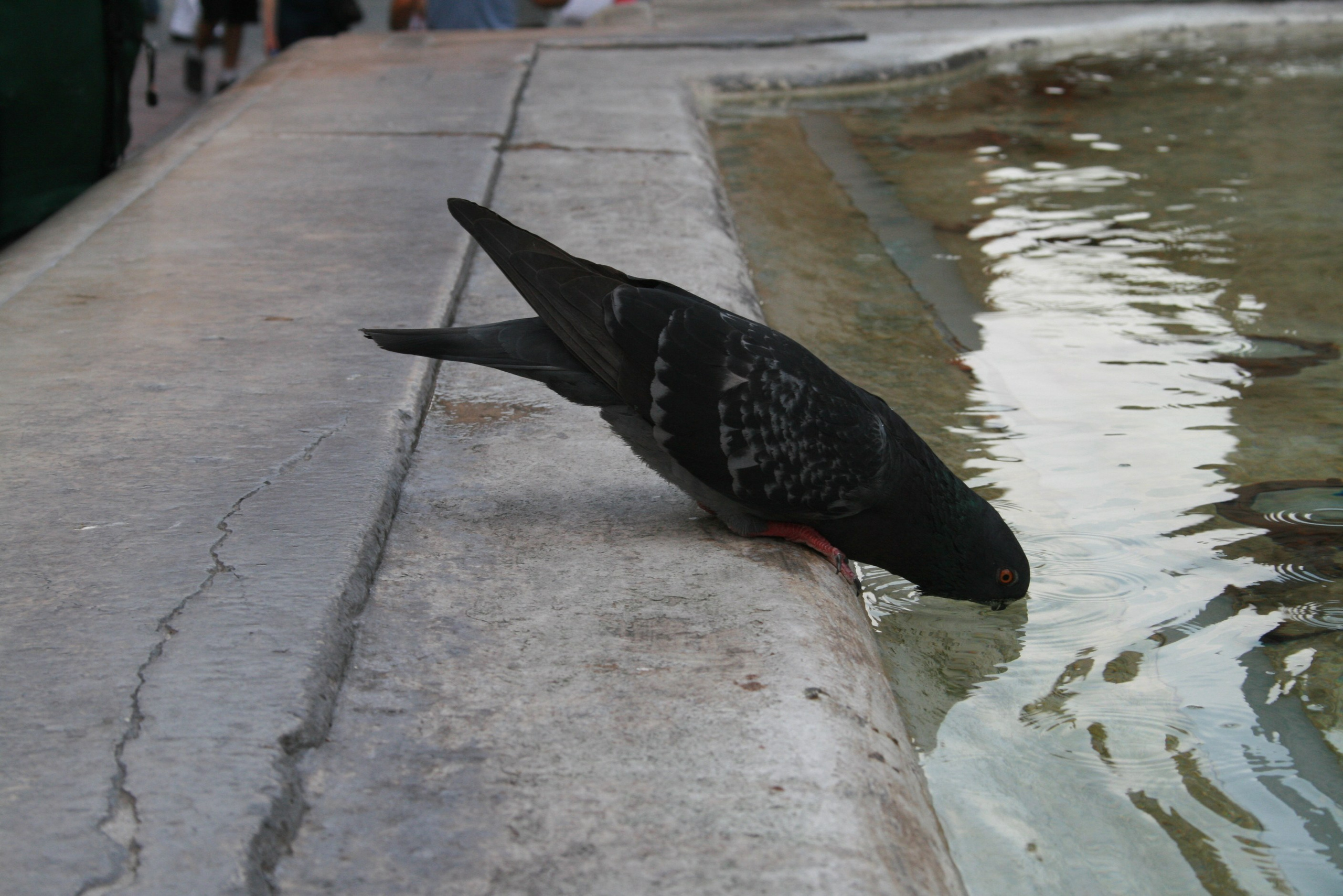 ИТАЛИЯ. Портретный и репортажный фотограф Наталья Горобец
