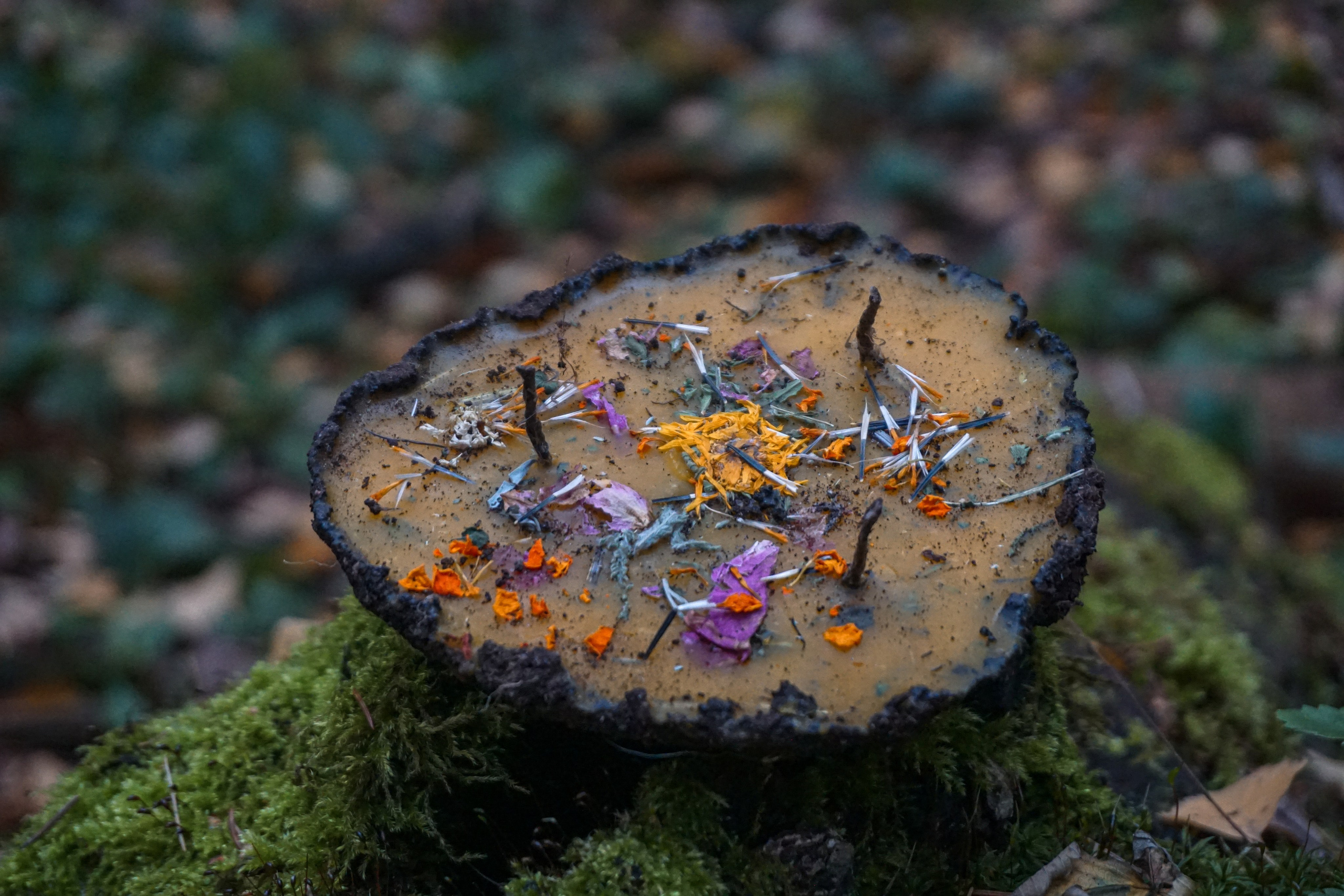 Свечи ручной работы. ФОТОГРАФ Любовь Скок. Москва