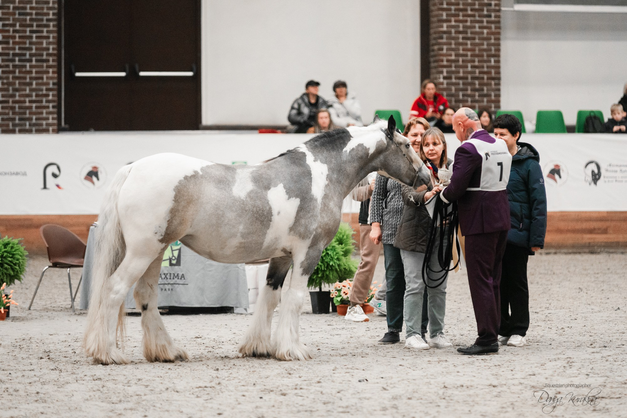 8-я международная выставка Конная Россия. Конный фотограф Куракина Дарья • Фотосессии с лошадьми