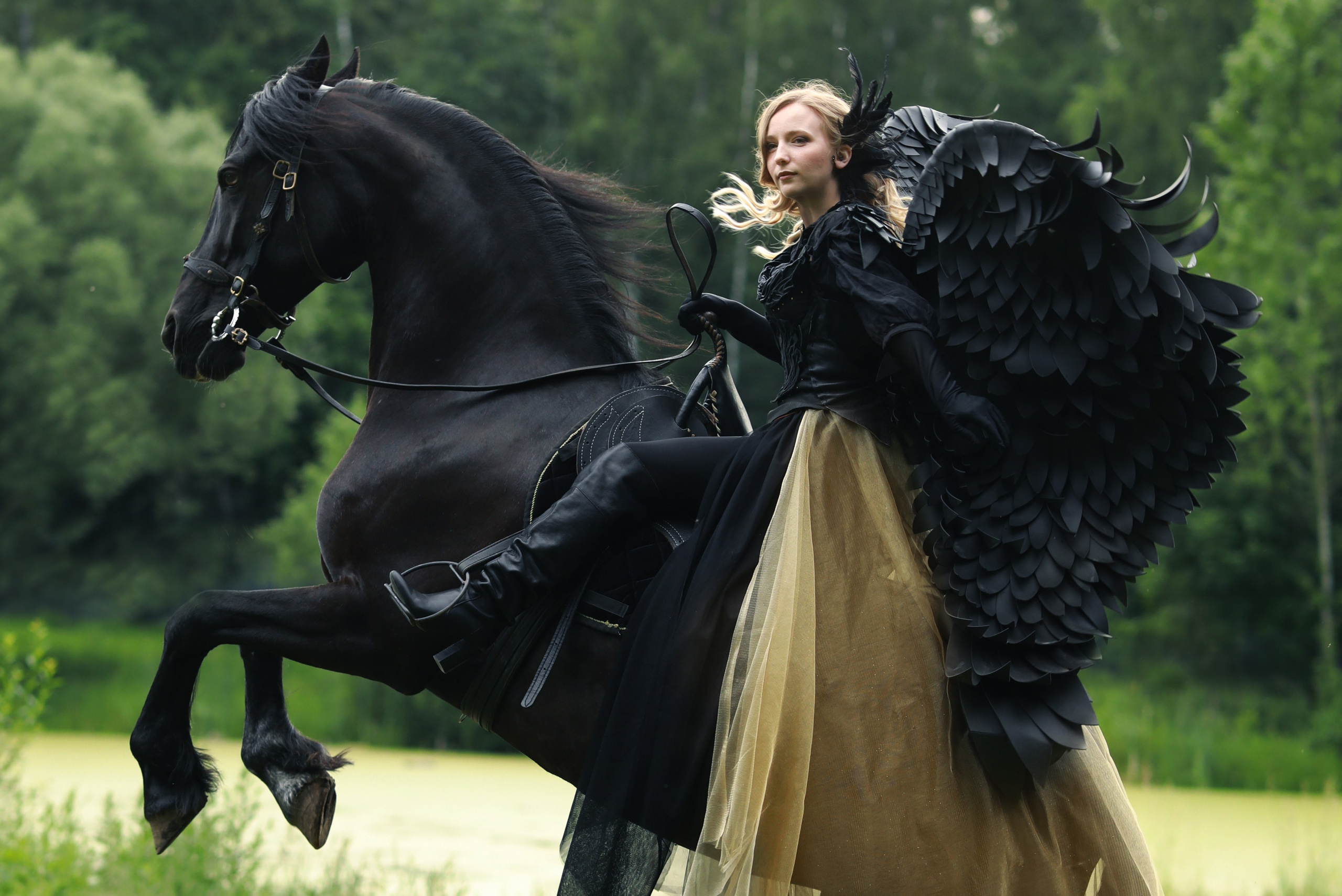 Фотосессии с лошадью. Фотосессия с лошадьми