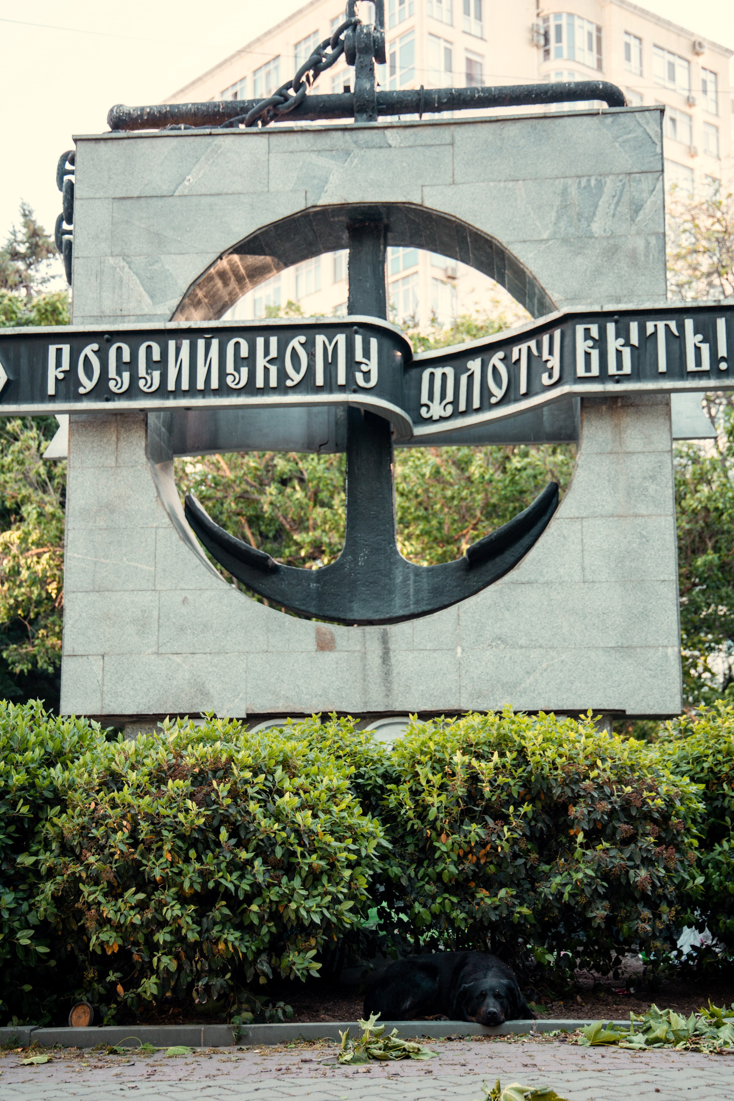 Фотограф Татьяна Марсуверских г. Жуковский, Москва и Мо. Репортажные съёмки, фотосессии,  фотограф анималист, фотосъёмка животных. Фотограф для маркетплейсов, фотоуслуги в Жуковском Татьяна Марсуверских