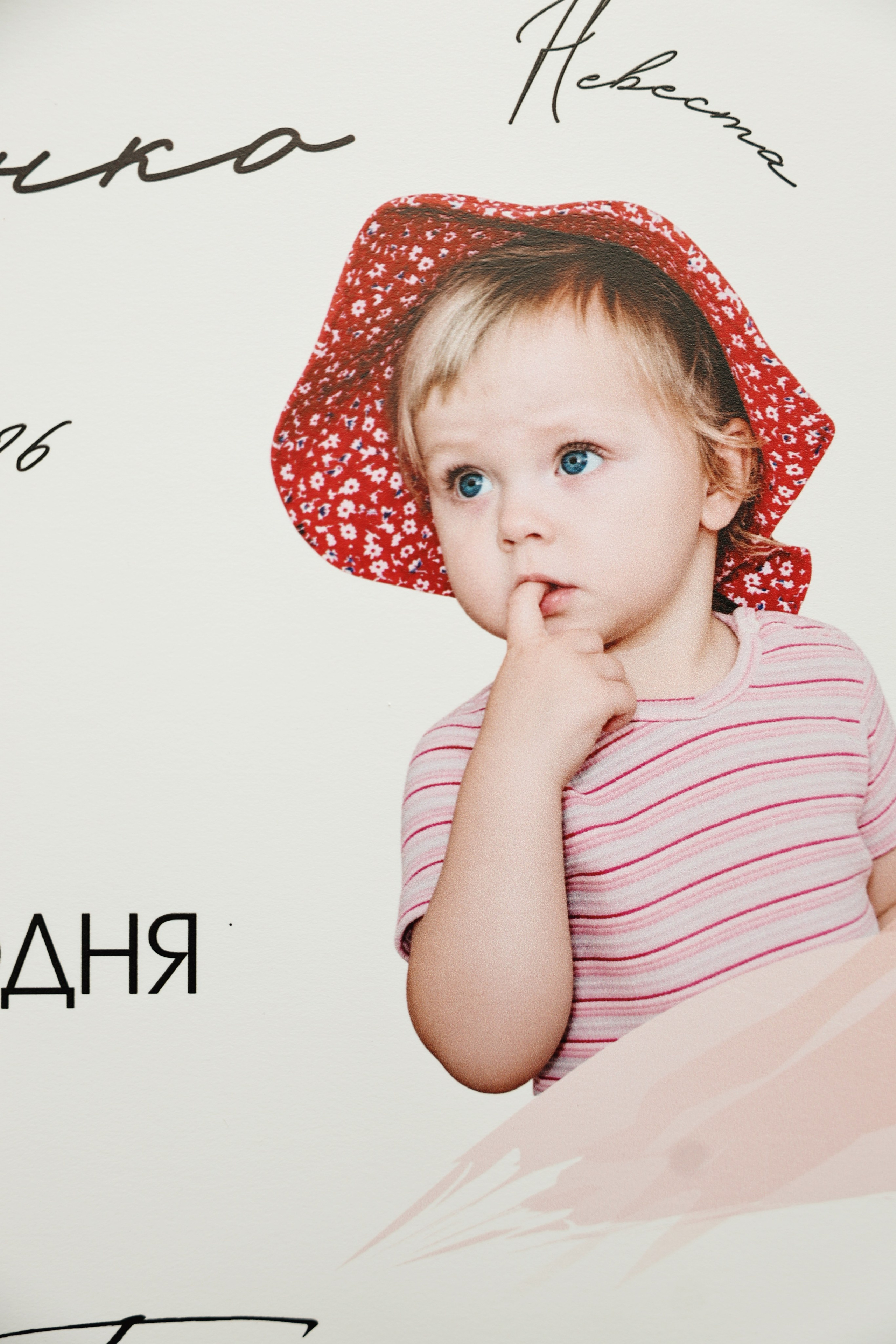 Времена года. Фотограф Толмачева Екатерина