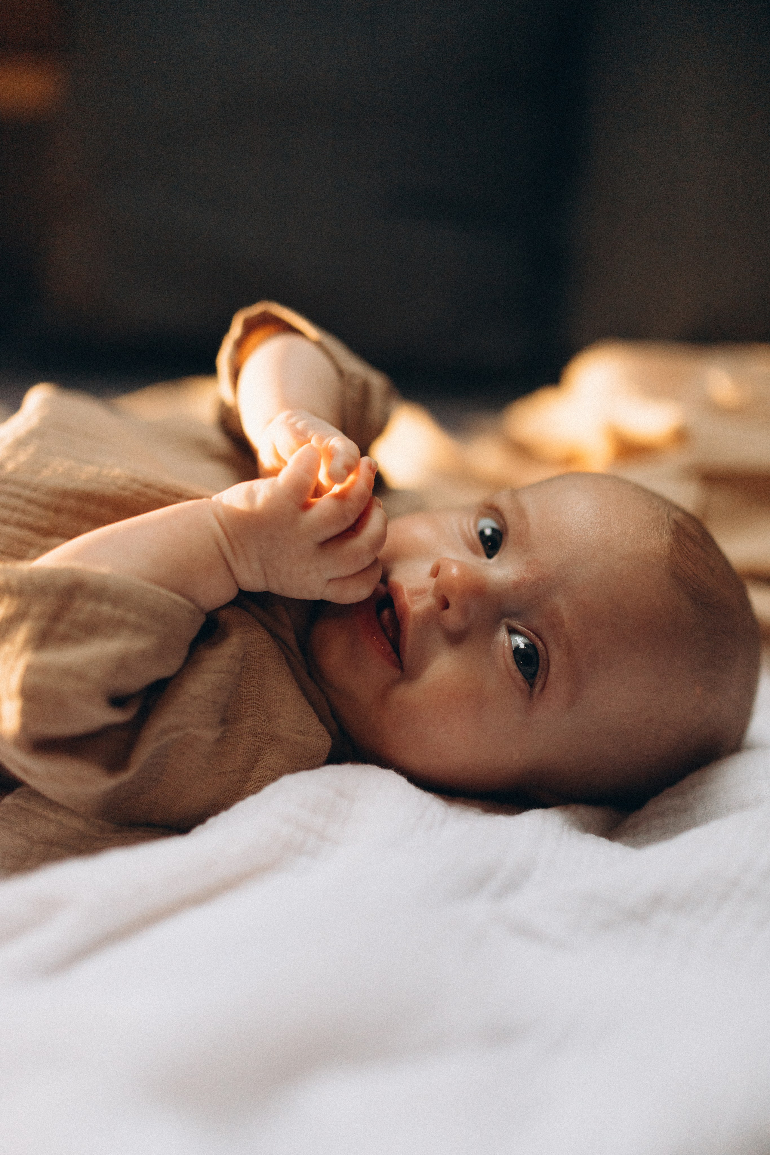 Семейная домашняя история в г. Тихвин. Услуги