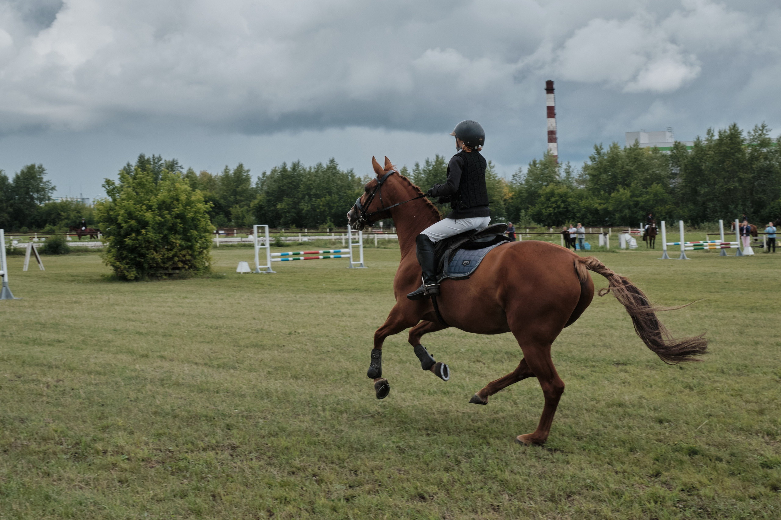 Ипподром. Goncharov Tim