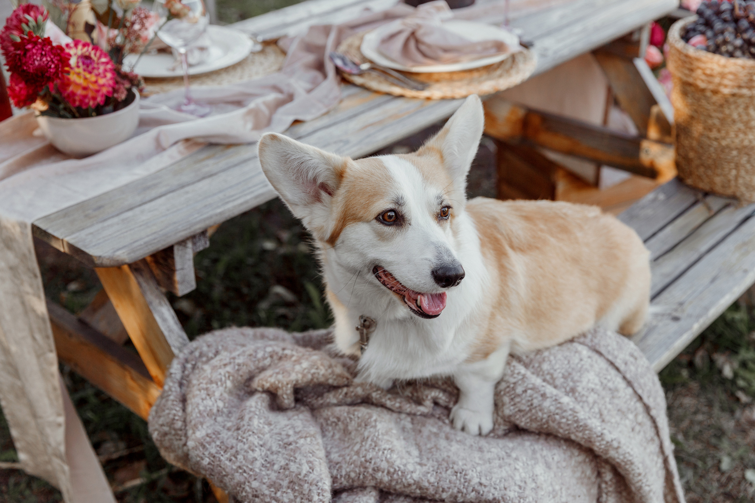 Милана и Крис. Фотограф в Стамбуле