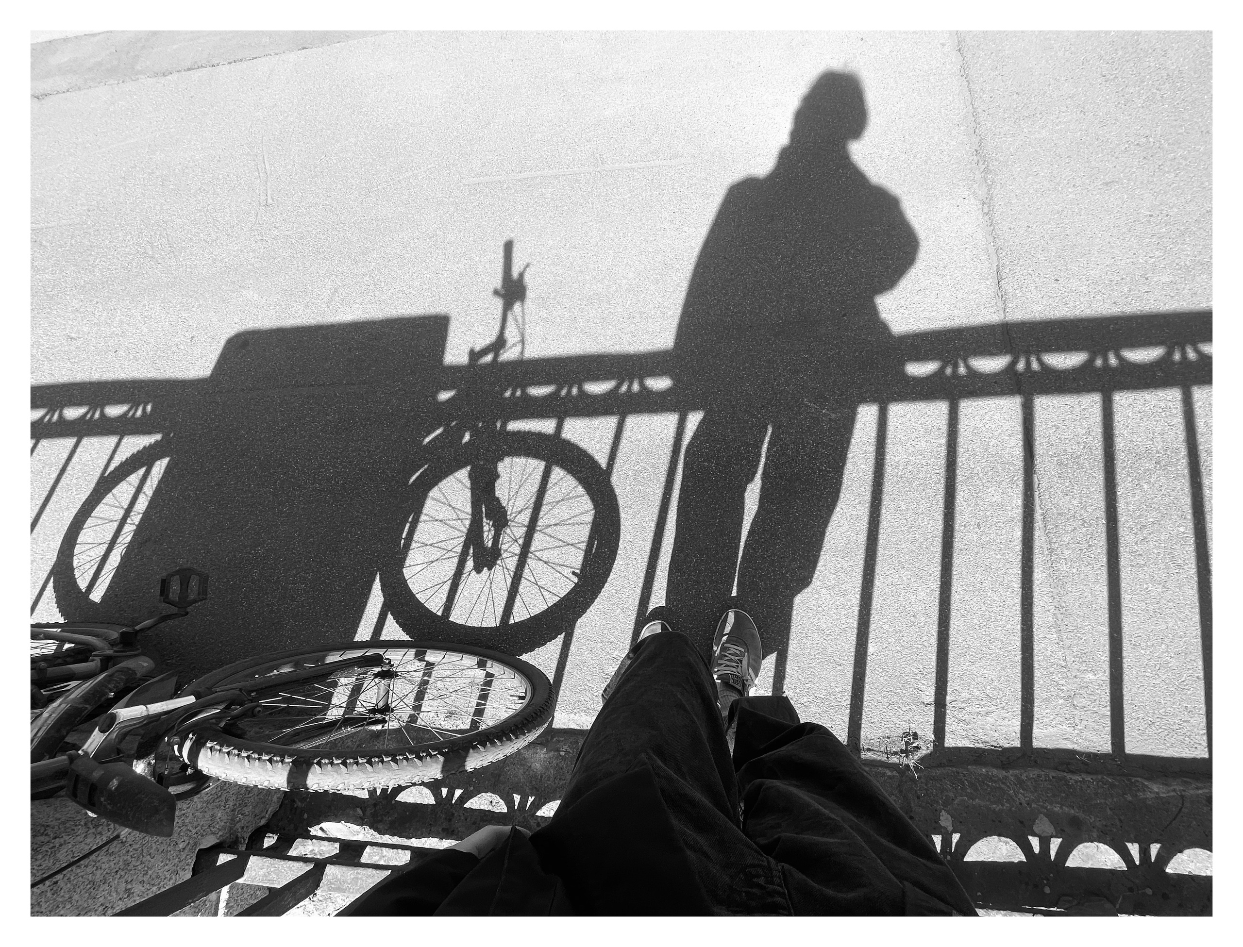 Bec. Шмитов Егор