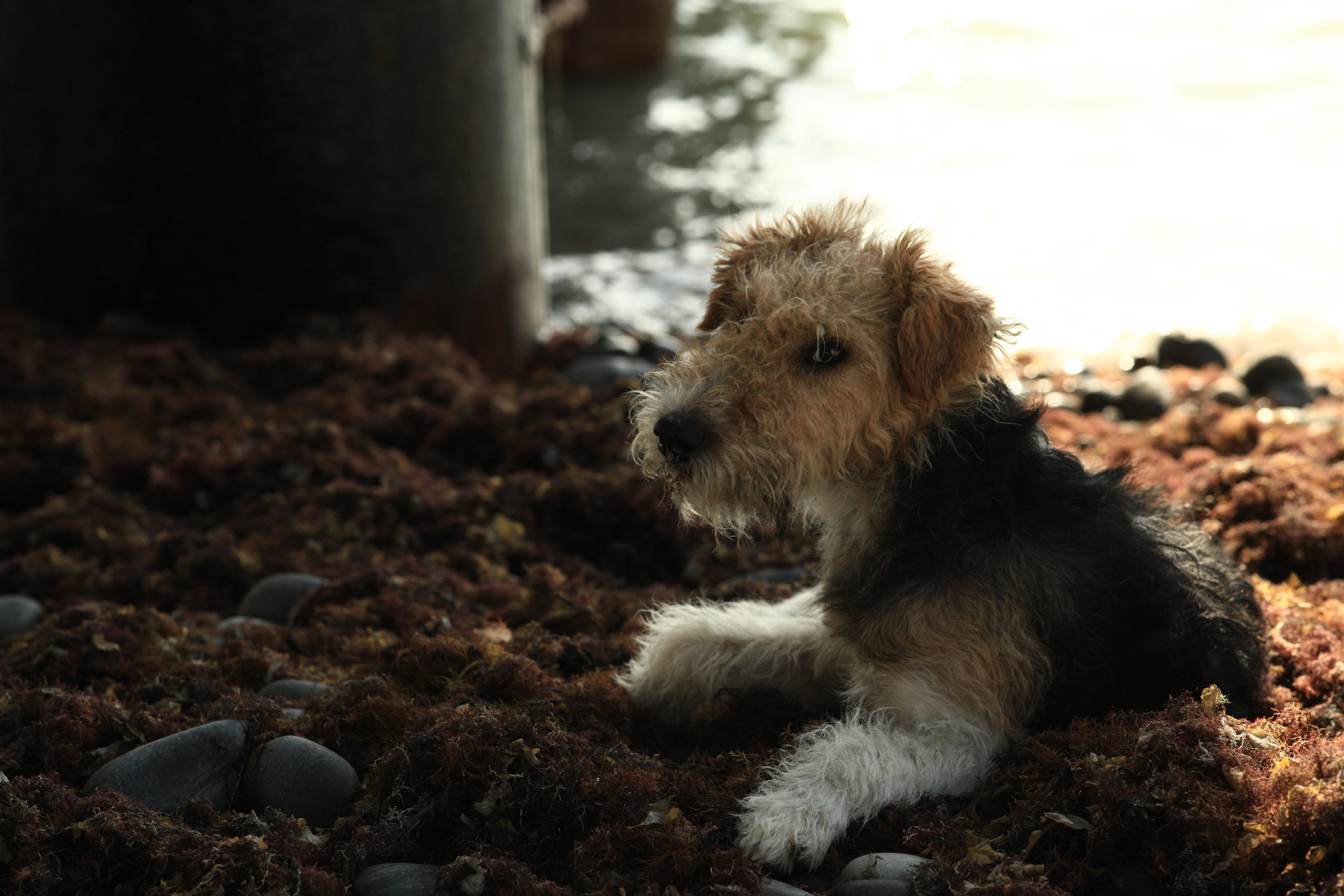 Natura. Портретный фотограф в Москве Виталий Пересветов