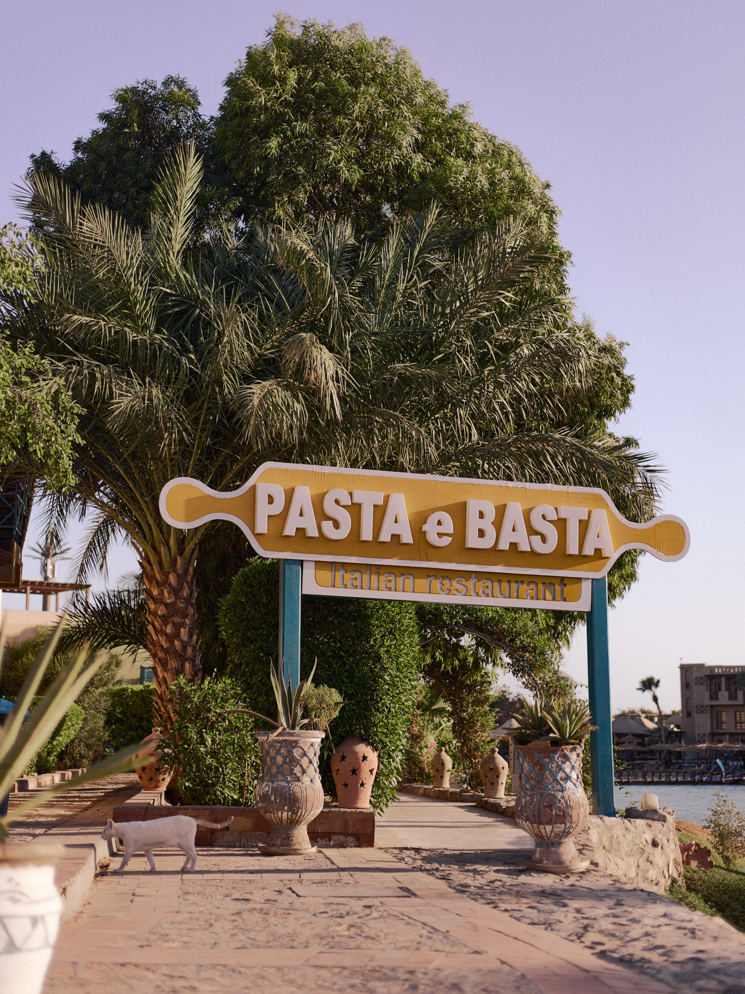 Другое 3. Jorgis Talè — photographer, kind person, teacher of arts and other mag