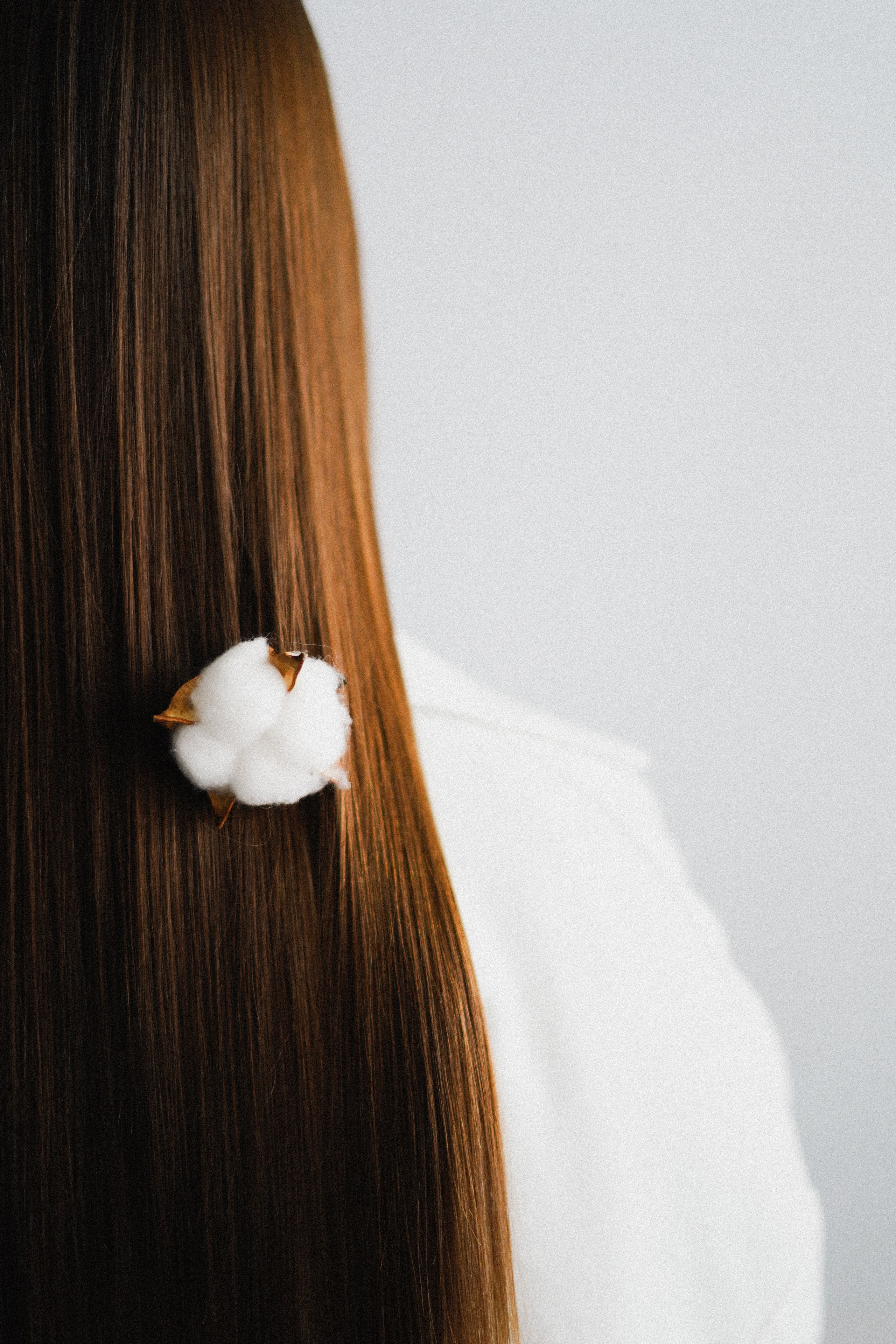 Контент для мастера по восстановлению волос. Фотограф Надежда Миронова Вологда