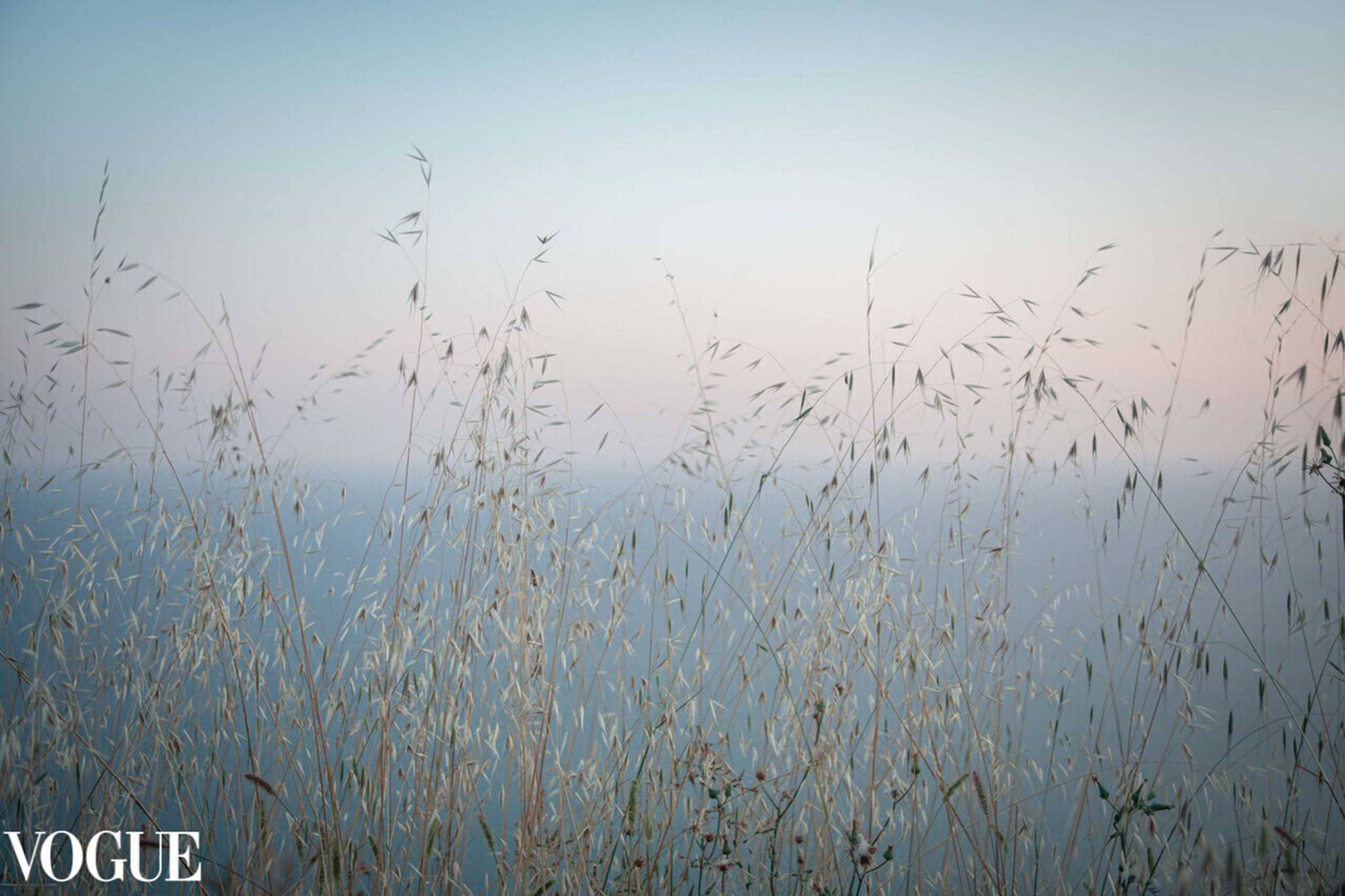 VOGUE. Семейный и детский фотограф в Москве Ольга Кривенцова
