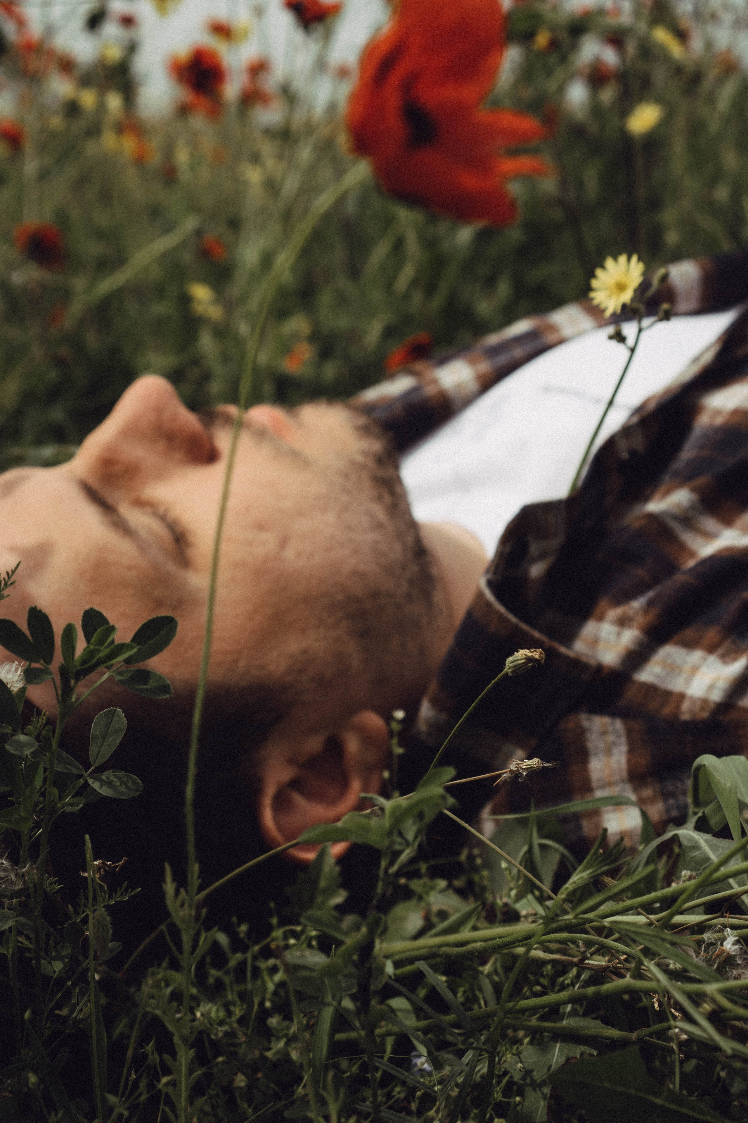 Маки. Профессиональный фотограф, Санкт-Петербург — Виктория Богомолова