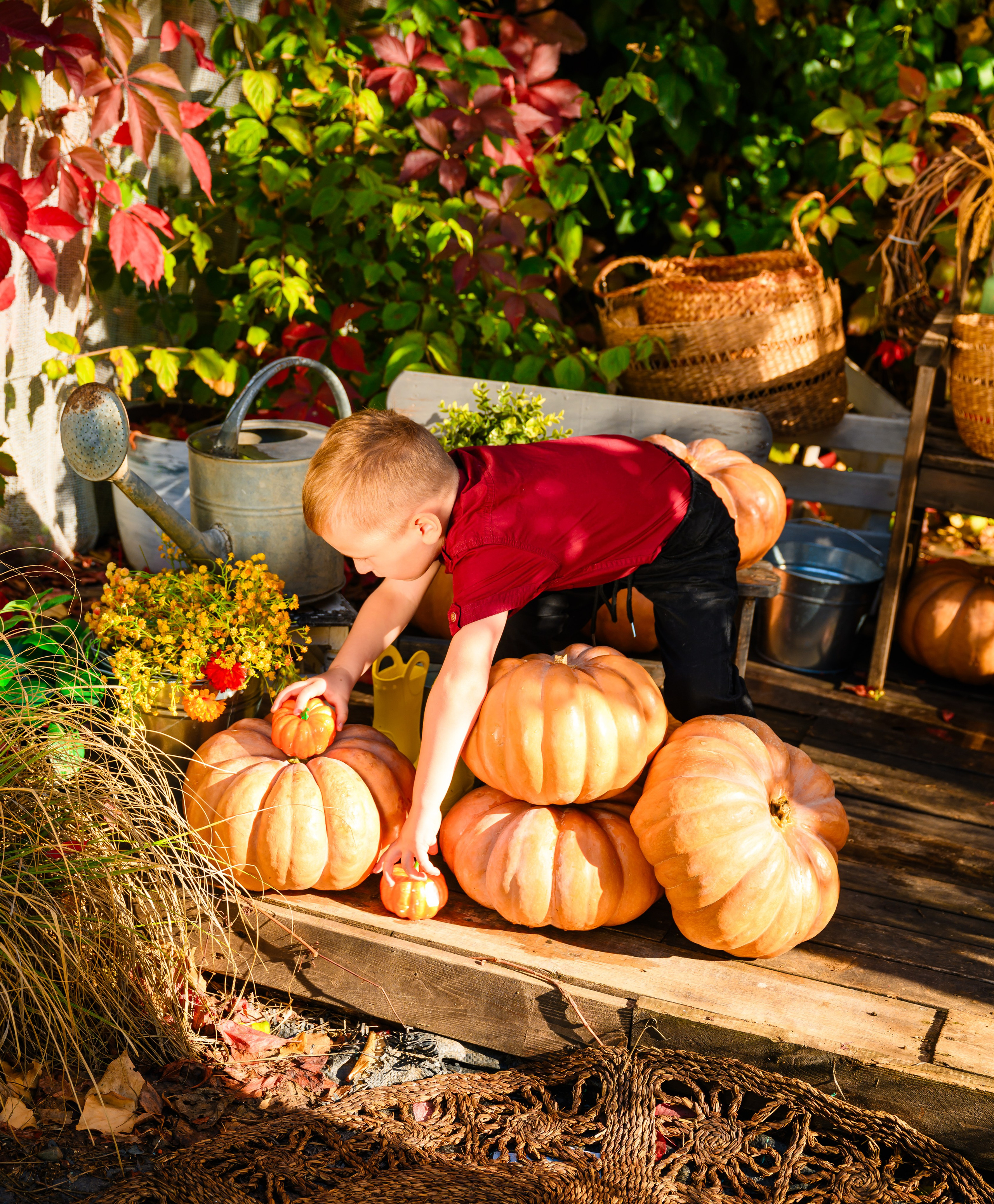 Семейные и детские фотосессии. Студийный и свадебный фотограф и видеограф в Севастополе — Юлия Макаренко
