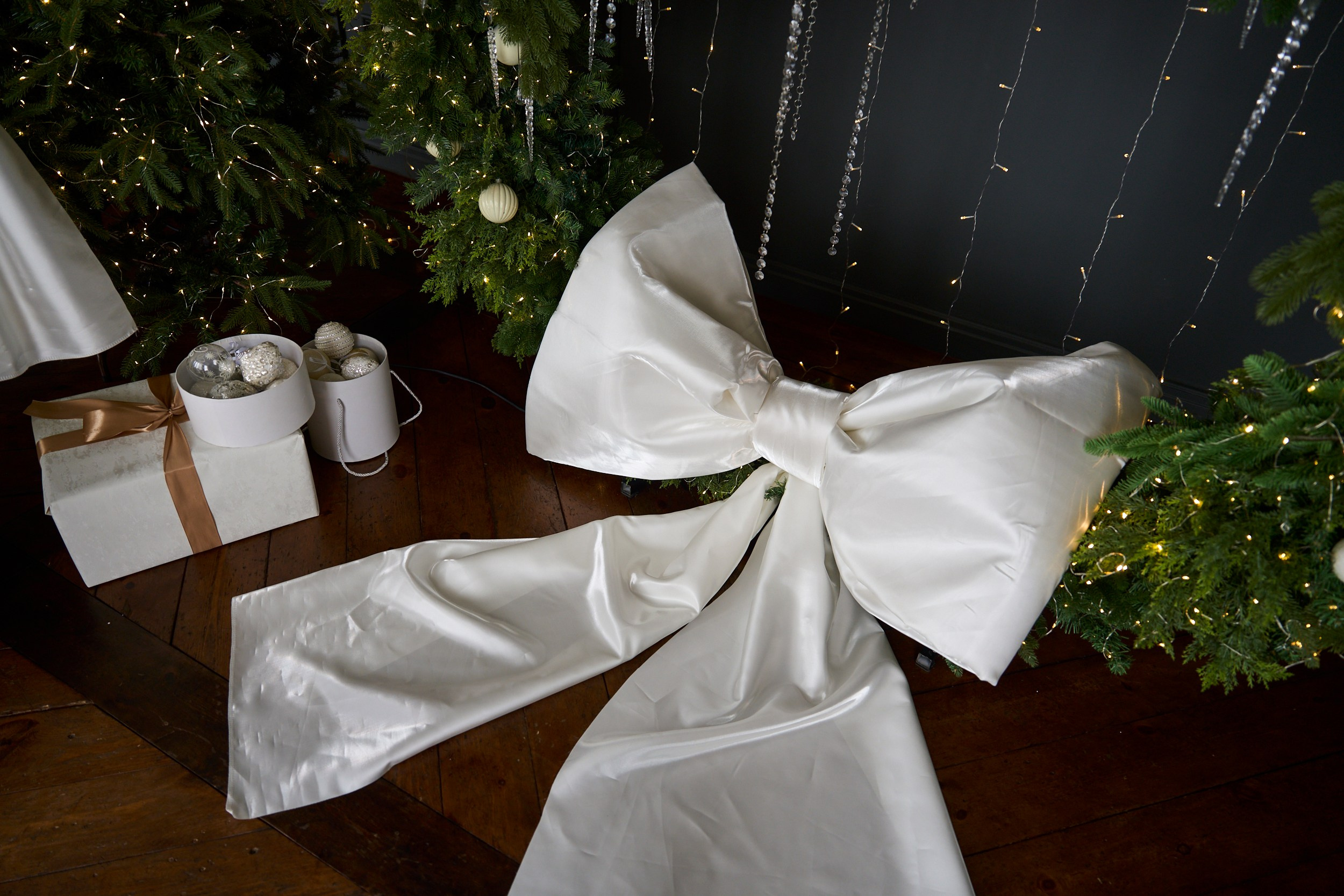 Вуд (Wood). Фотограф г. Хабаровск. Семейные и индивидуальные съёмки