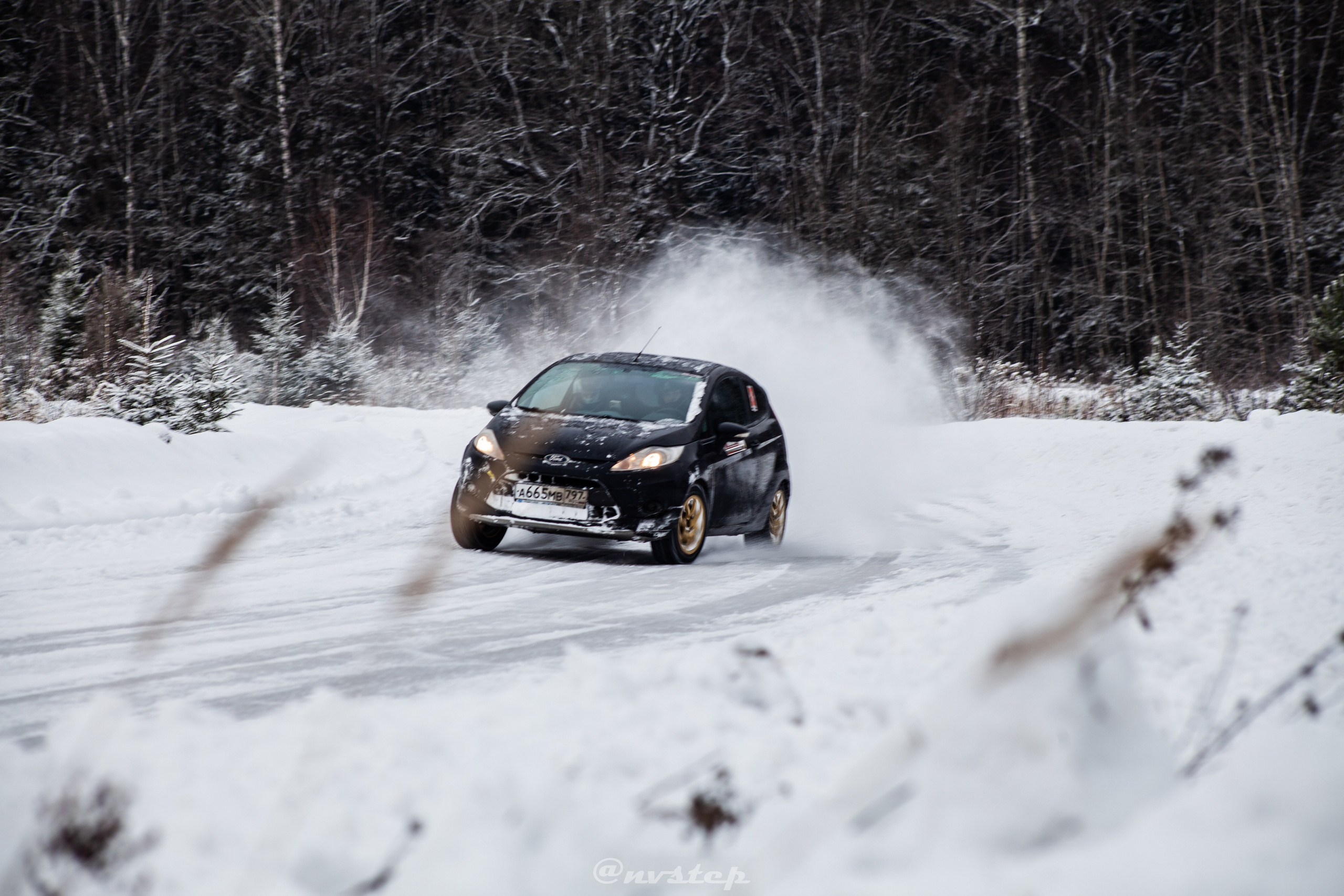 RSE Тропикана 2023. Мультижанровый фотограф в Москве Наталия Степанова