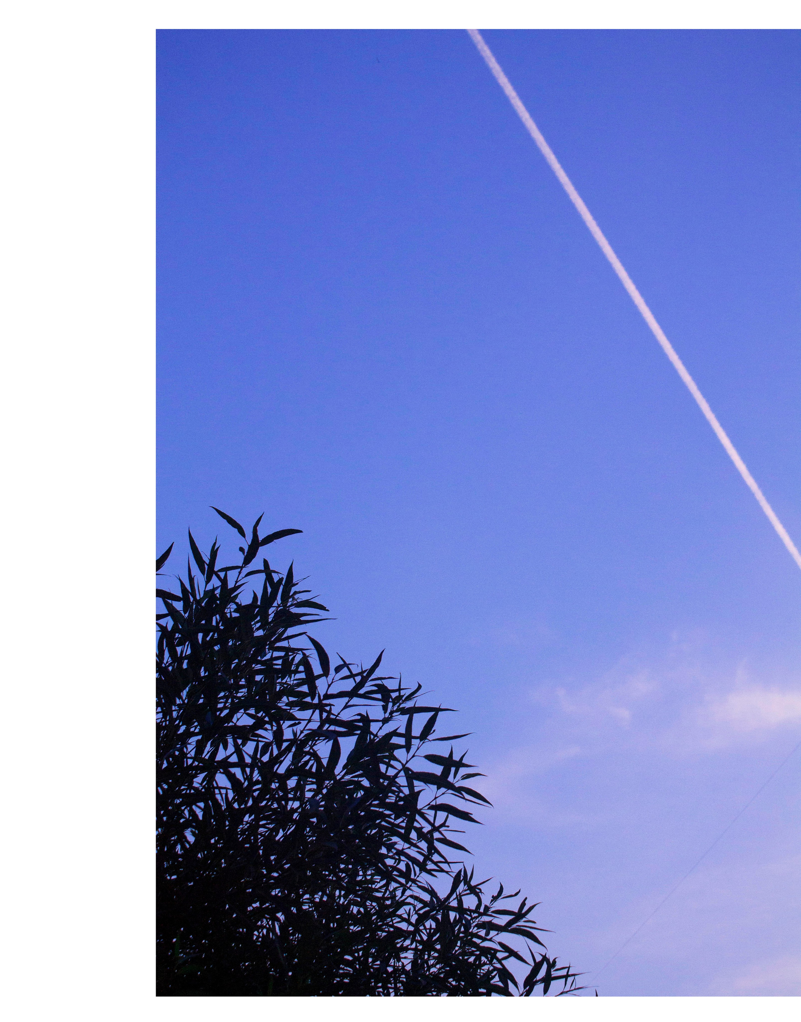 Мои первые работы. Фотограф из Москвы — DASHA NOVA | Авторская фотография в разных жанрах