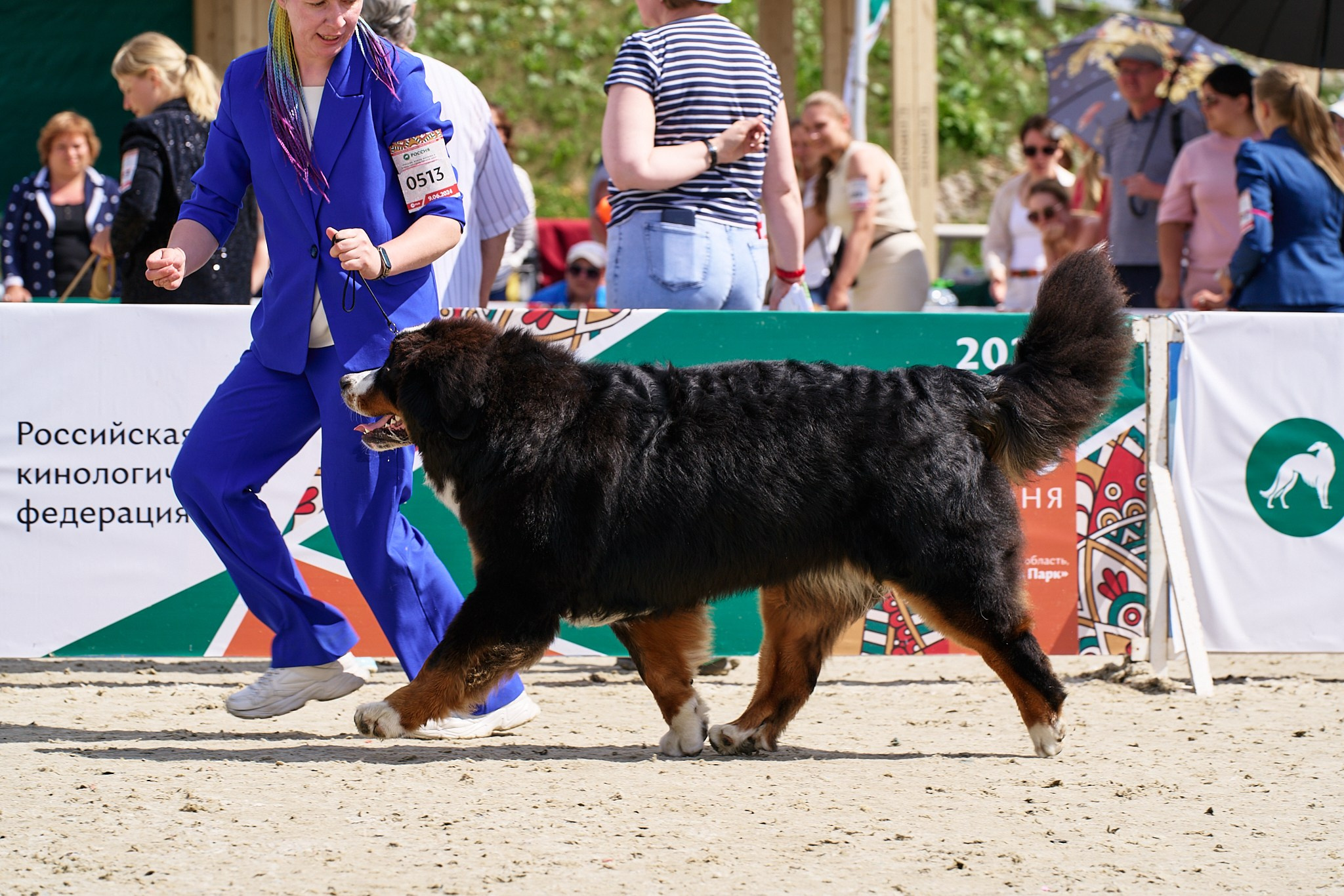 09.06.2024, «РОССИЯ. КУБОК МОСКВЫ 2024 & КУБОК ГОРОДОВ-ГЕРОЕВ»