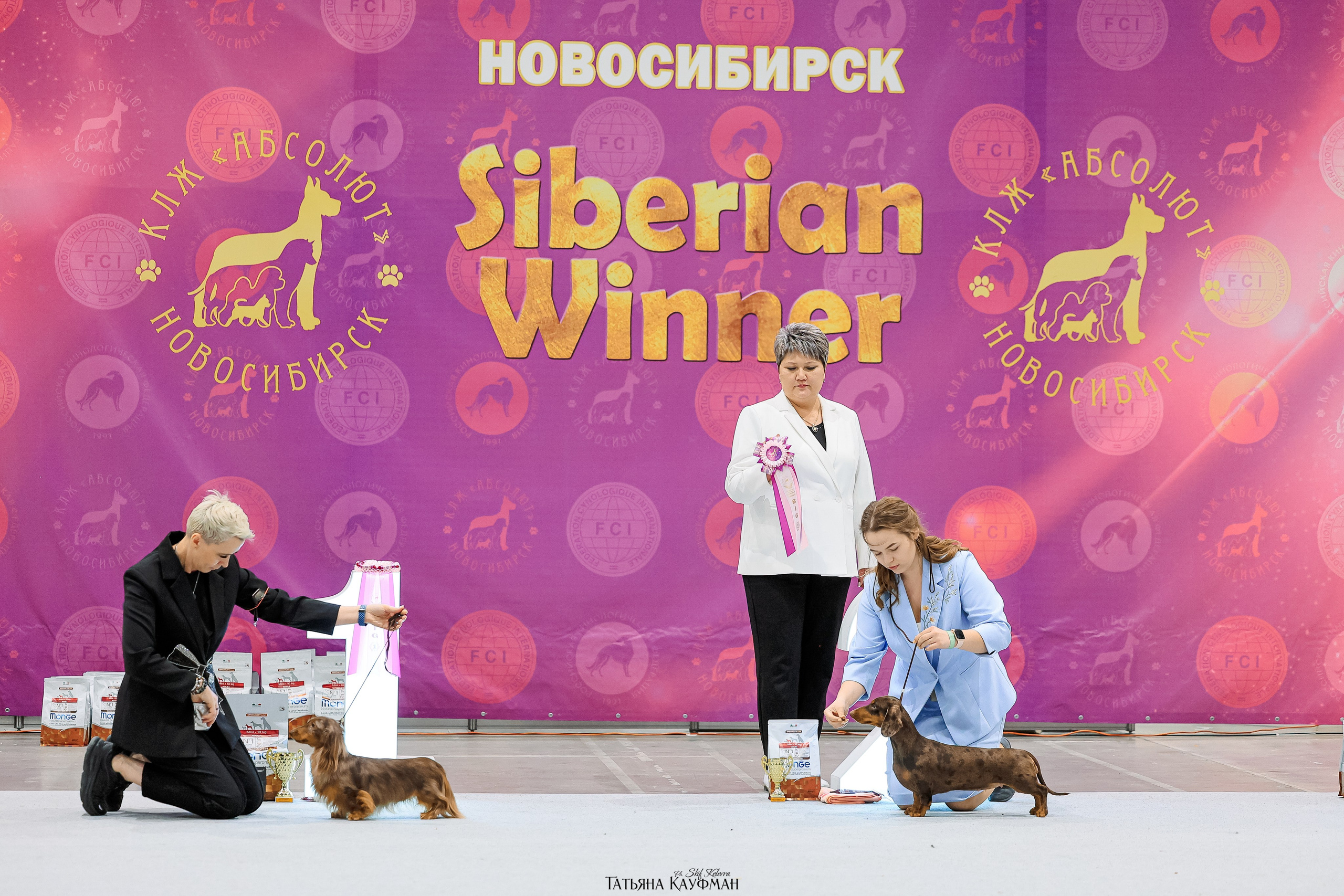 28-29.03.2026 Рейтинговая выставка в Новосибирске. Фотограф Анималист из Новосибирска Татьяна Кауфман