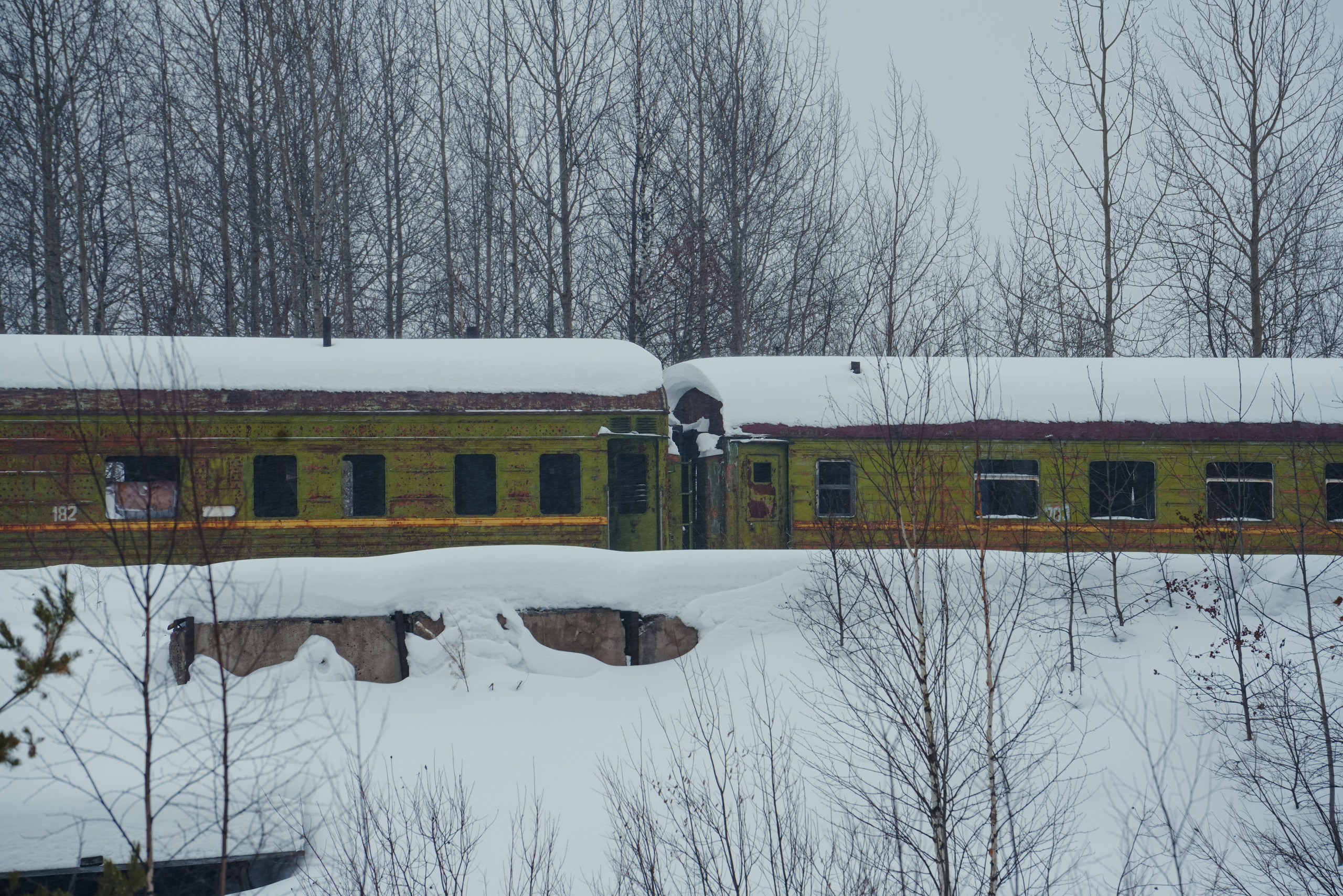 Кировская область, Февраль 2022