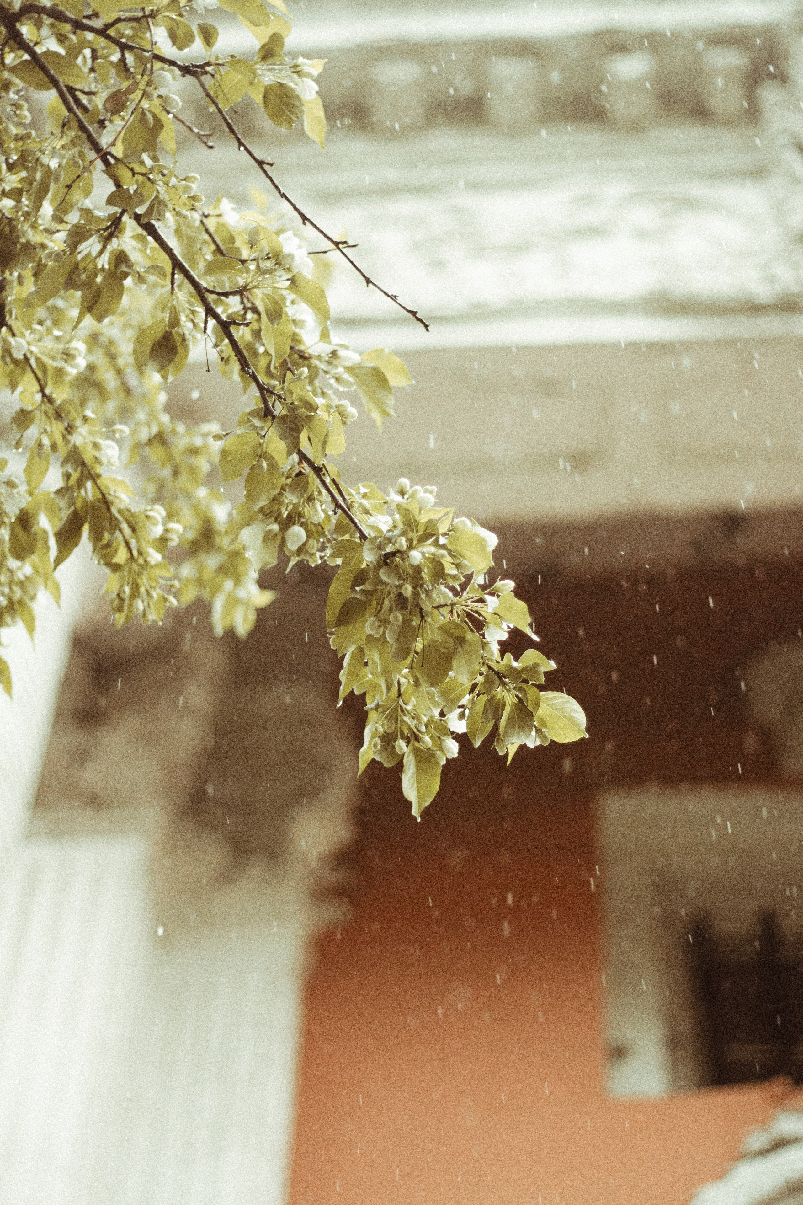 Крещение Марка. Мария Колесникова