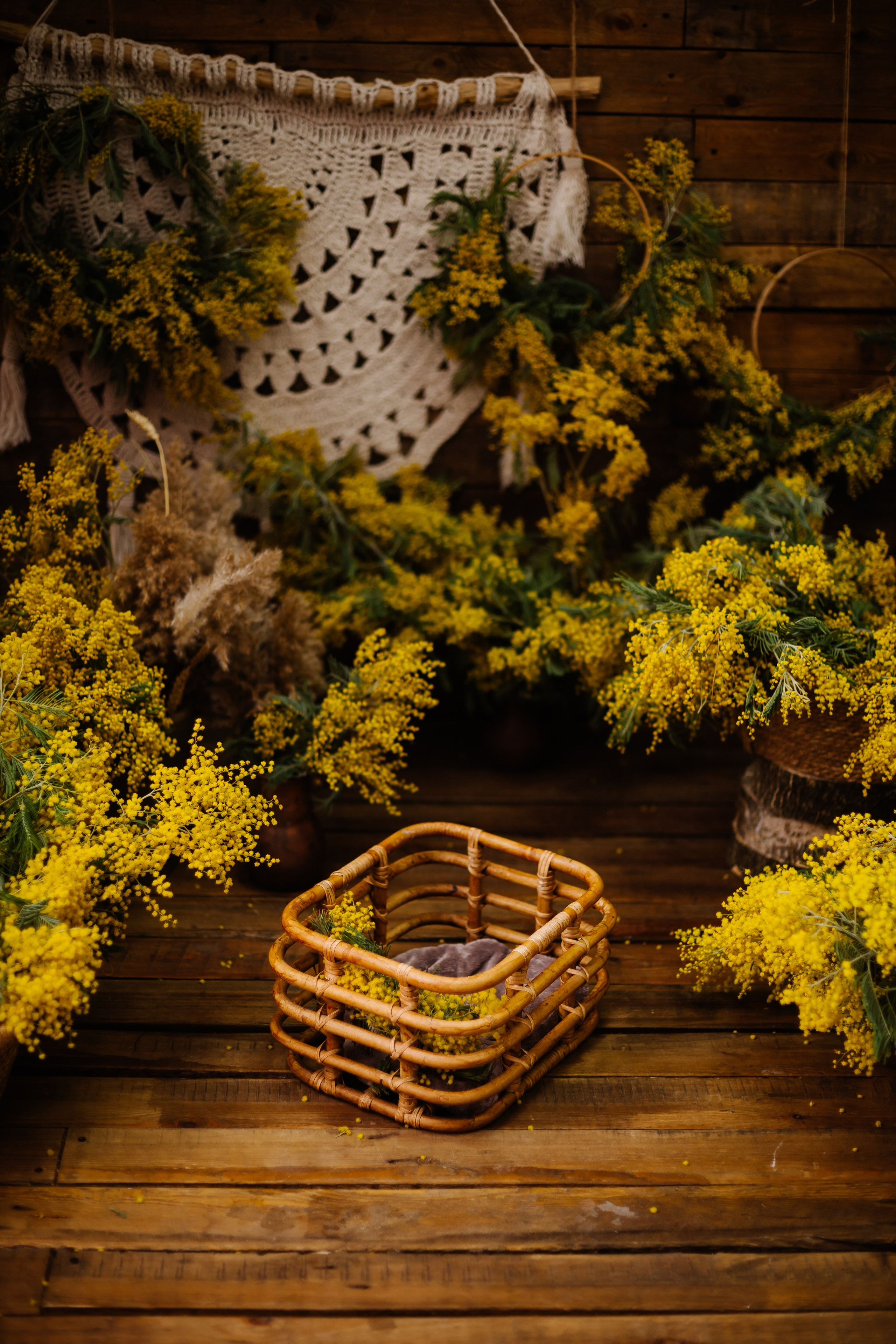 СТУДИЯ ОФоРМЛЕНИЕ. Фотограф новорожденных и семей Туапсе Краснодарский край Анна Альтман