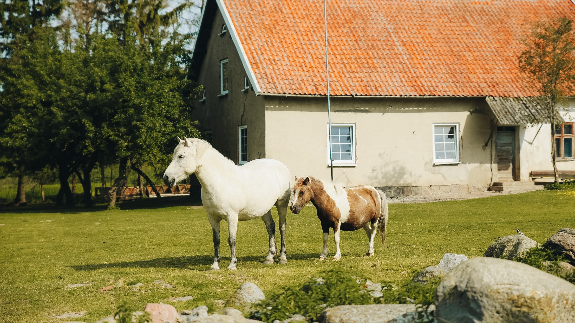 Тур — девичник LEF.TRAVEL.CLUB. KRIS KRUPINNIKOVA