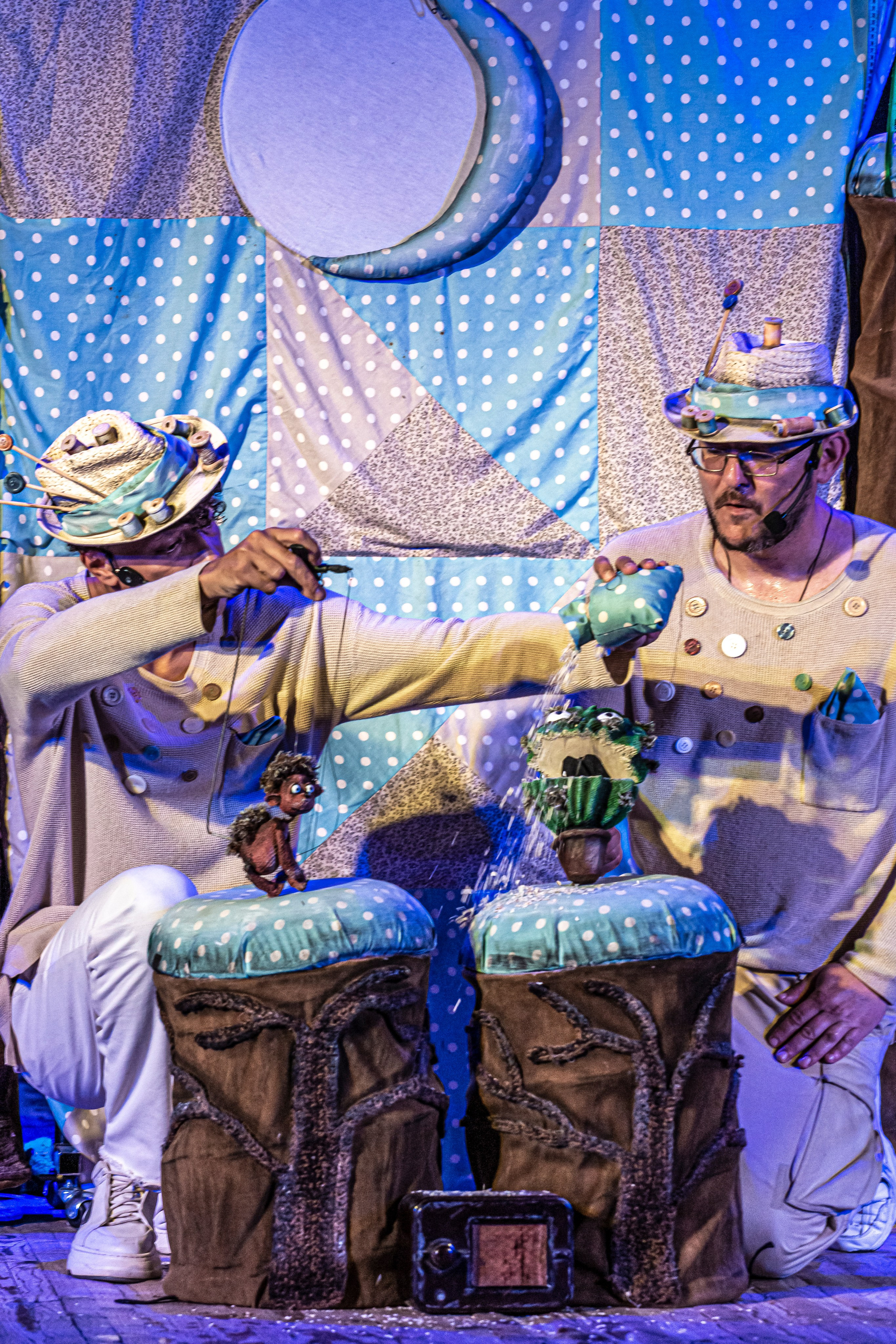 Колючая сказка. Фотограф в Сочи Юрий Шептаев