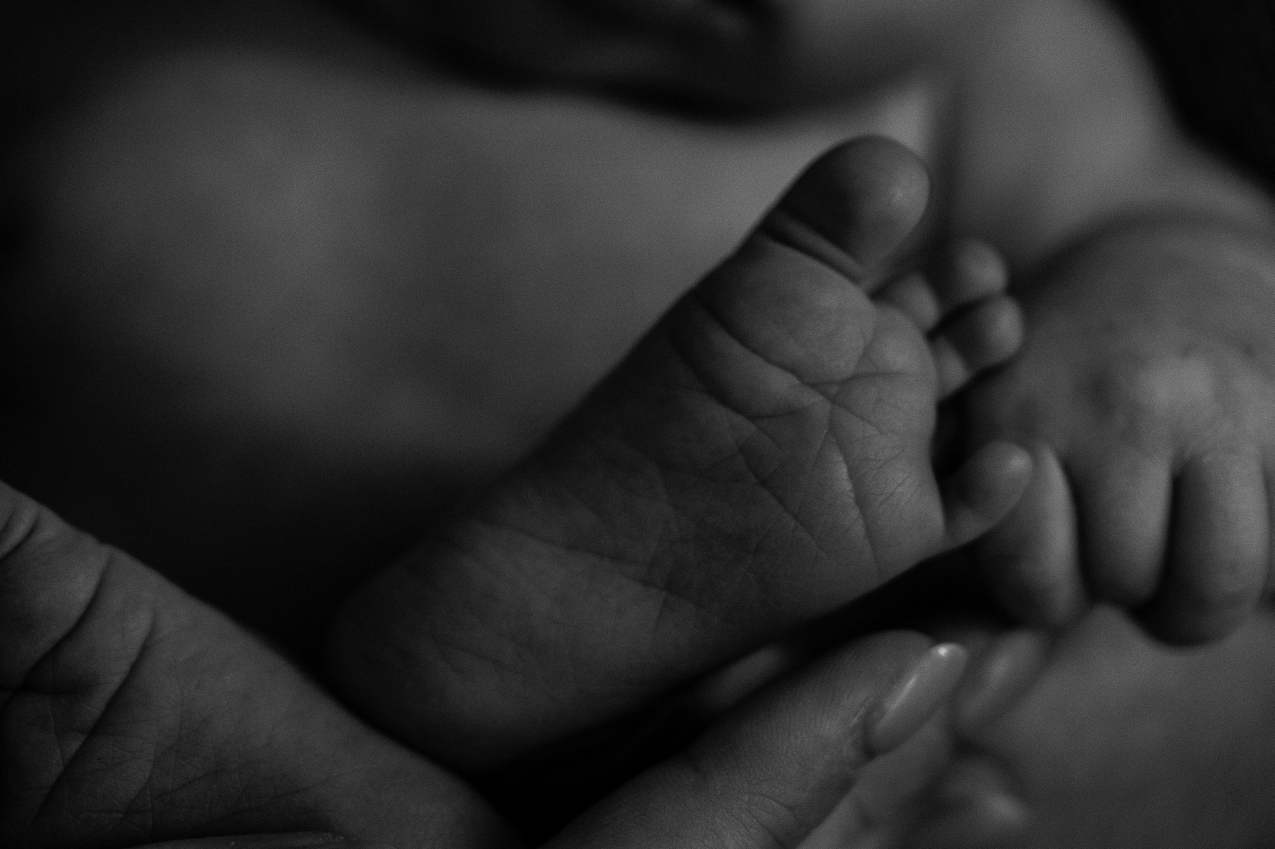 Отзывы о работе фотографа Ивановой Маргариты. Фотограф беременности и семьи, домашние съемки, Ньюборн