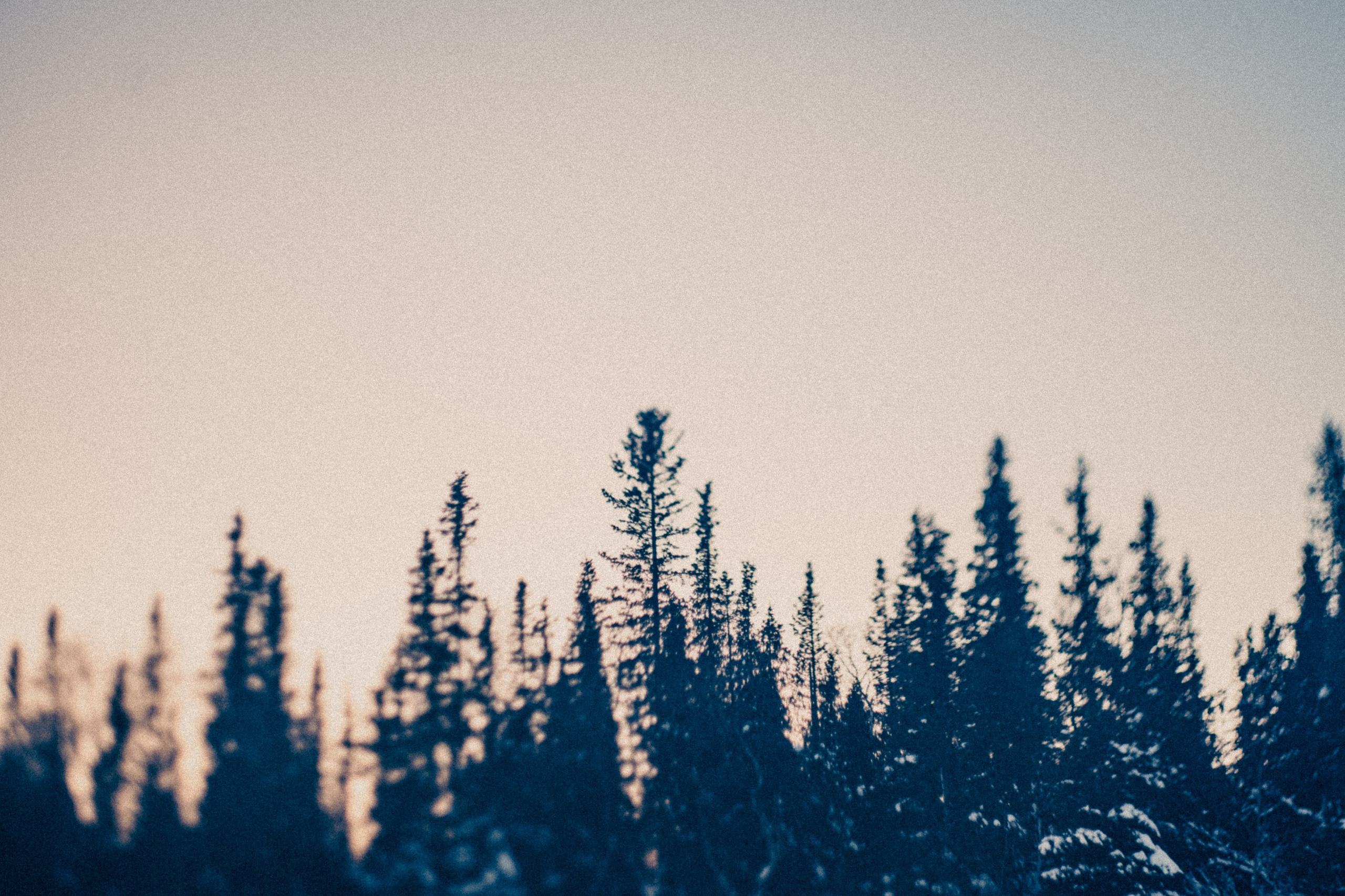 Священное озеро. Фотограф * Вячеслав Скоробогатов * Визульный Артист