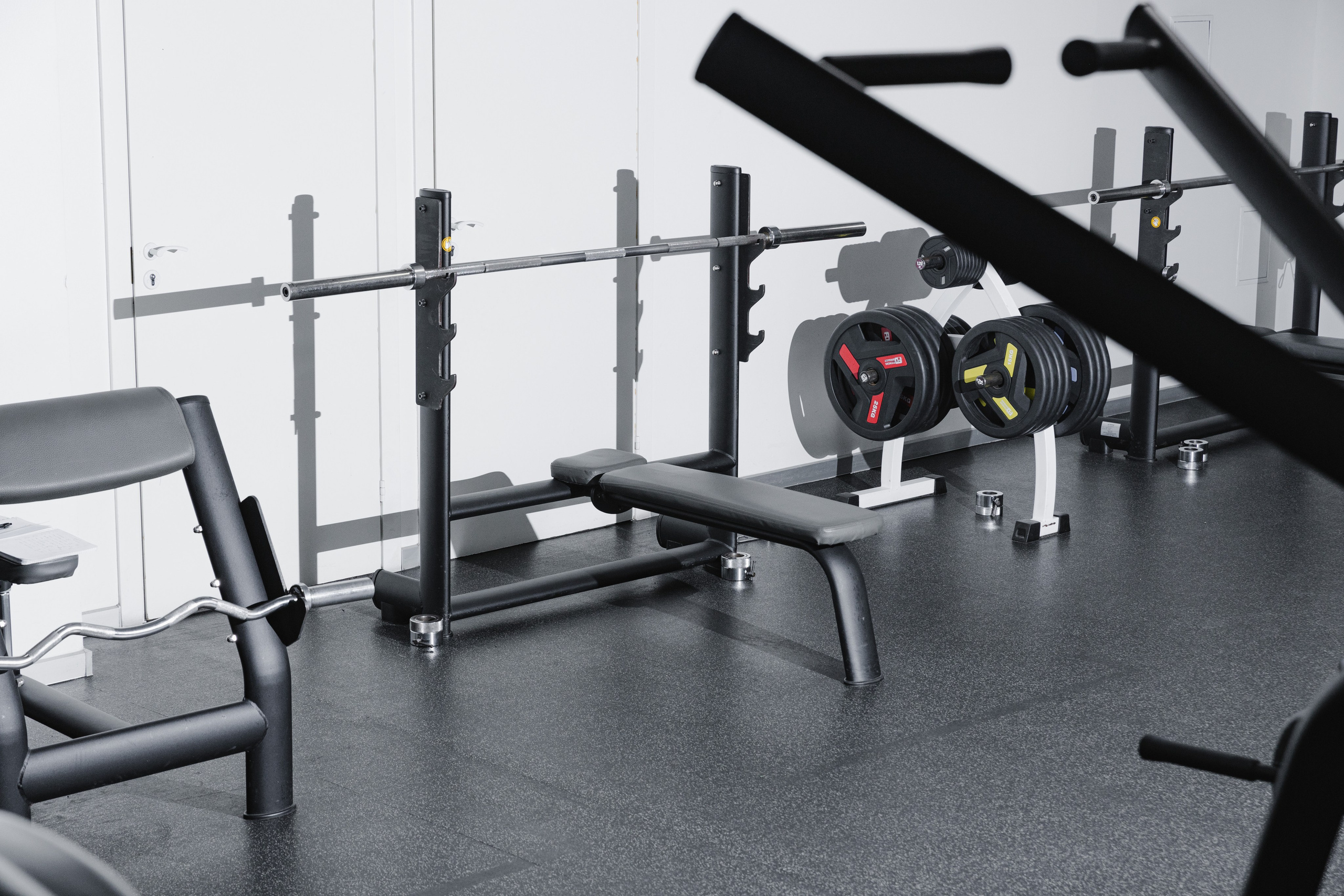 Cosmos Selection. Мансорунов Баир | Фотограф | Бурятия