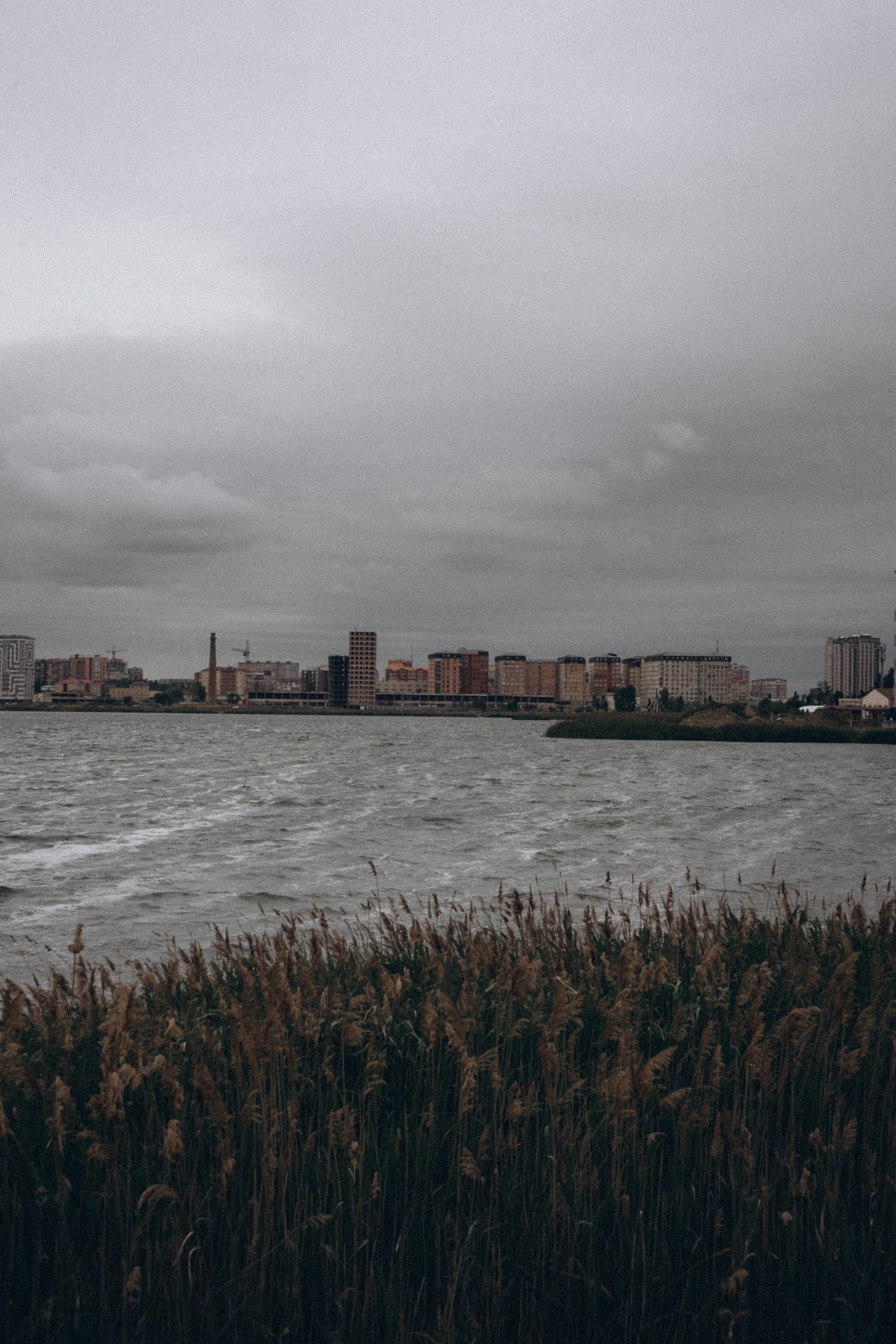 Кавказ. Профессиональный фотограф, Санкт-Петербург — Виктория Богомолова