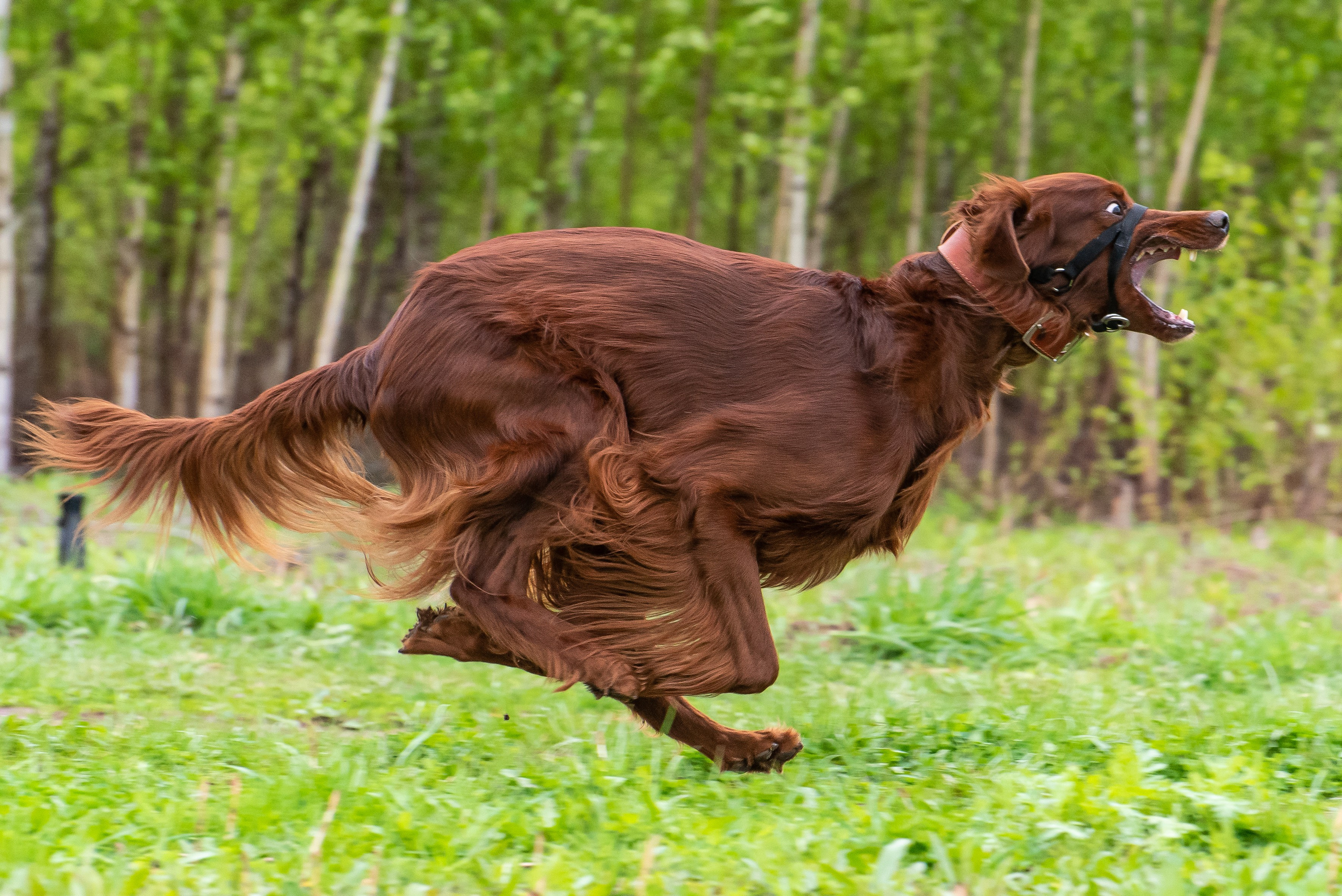 Фотографии с Курсинга. Фотограф Макс Огурцов в Нижнем Новгороде