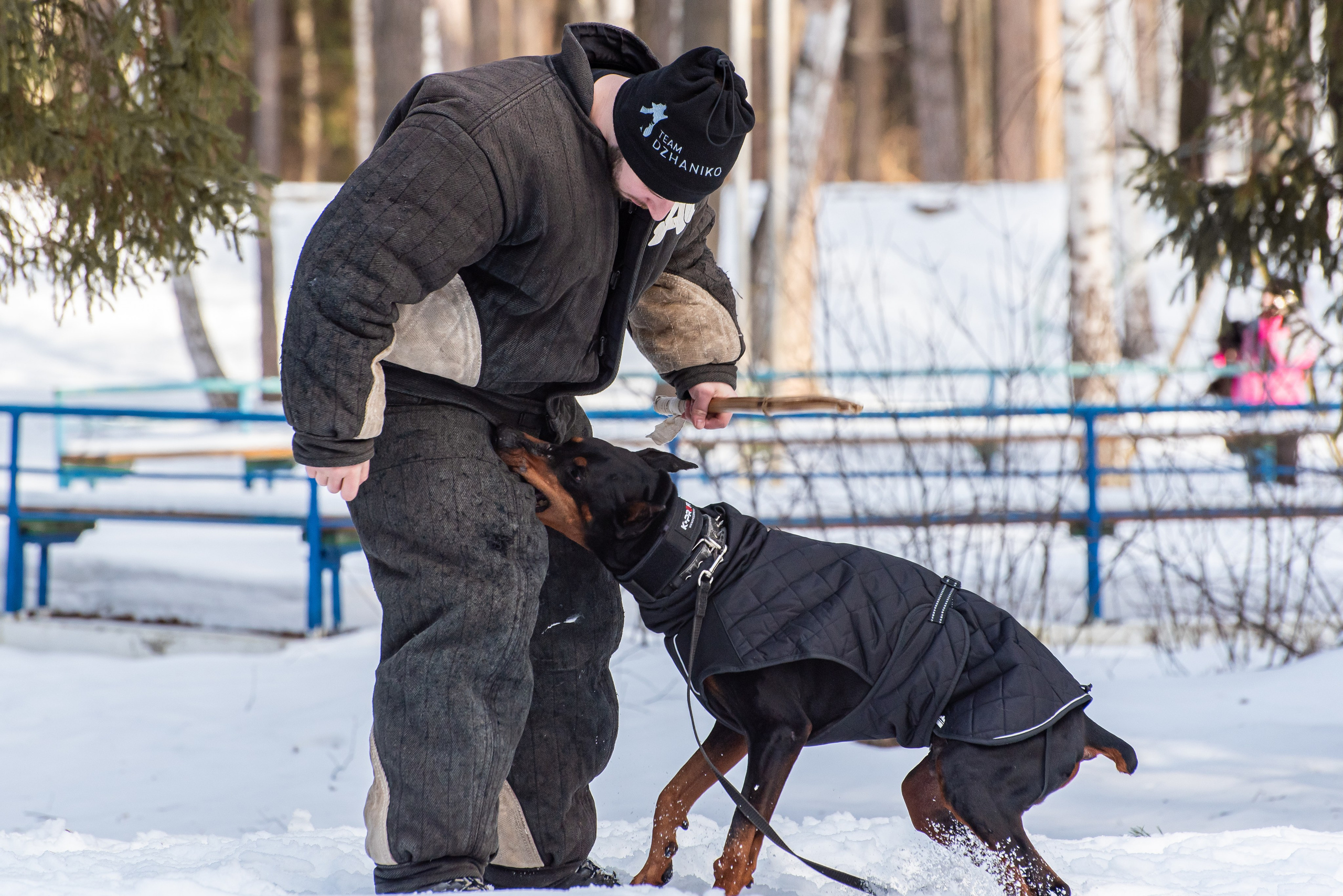 Фотосъёмка с собаками в Кинологическом лагере. Фотограф Макс Огурцов в Нижнем Новгороде