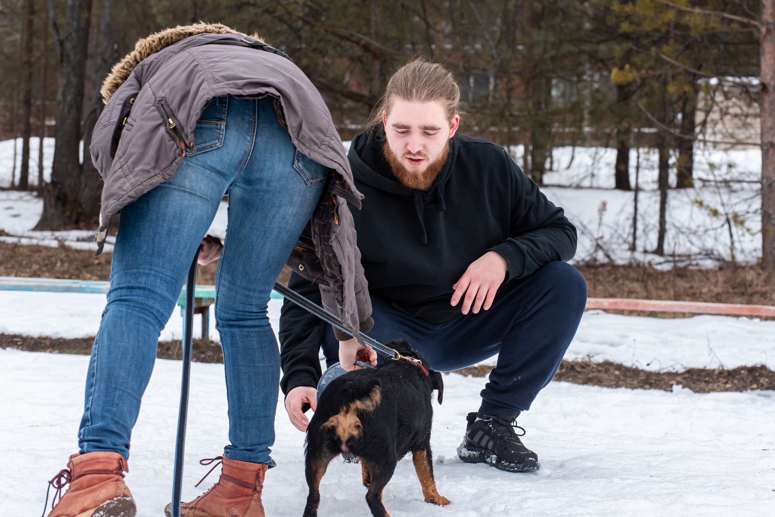 Фотосъёмка с собаками в Кинологическом лагере. Фотограф Макс Огурцов в Нижнем Новгороде