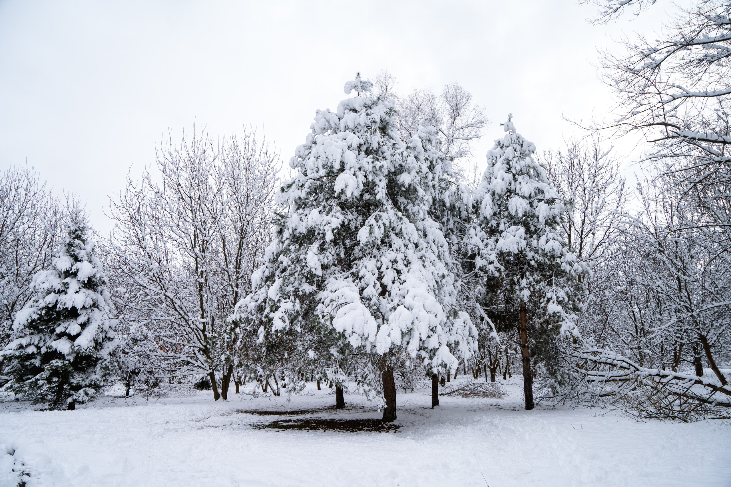 Зима 2024. Свадебный и семейный фотограф/видеограф в Краснодаре Наталья Осинская