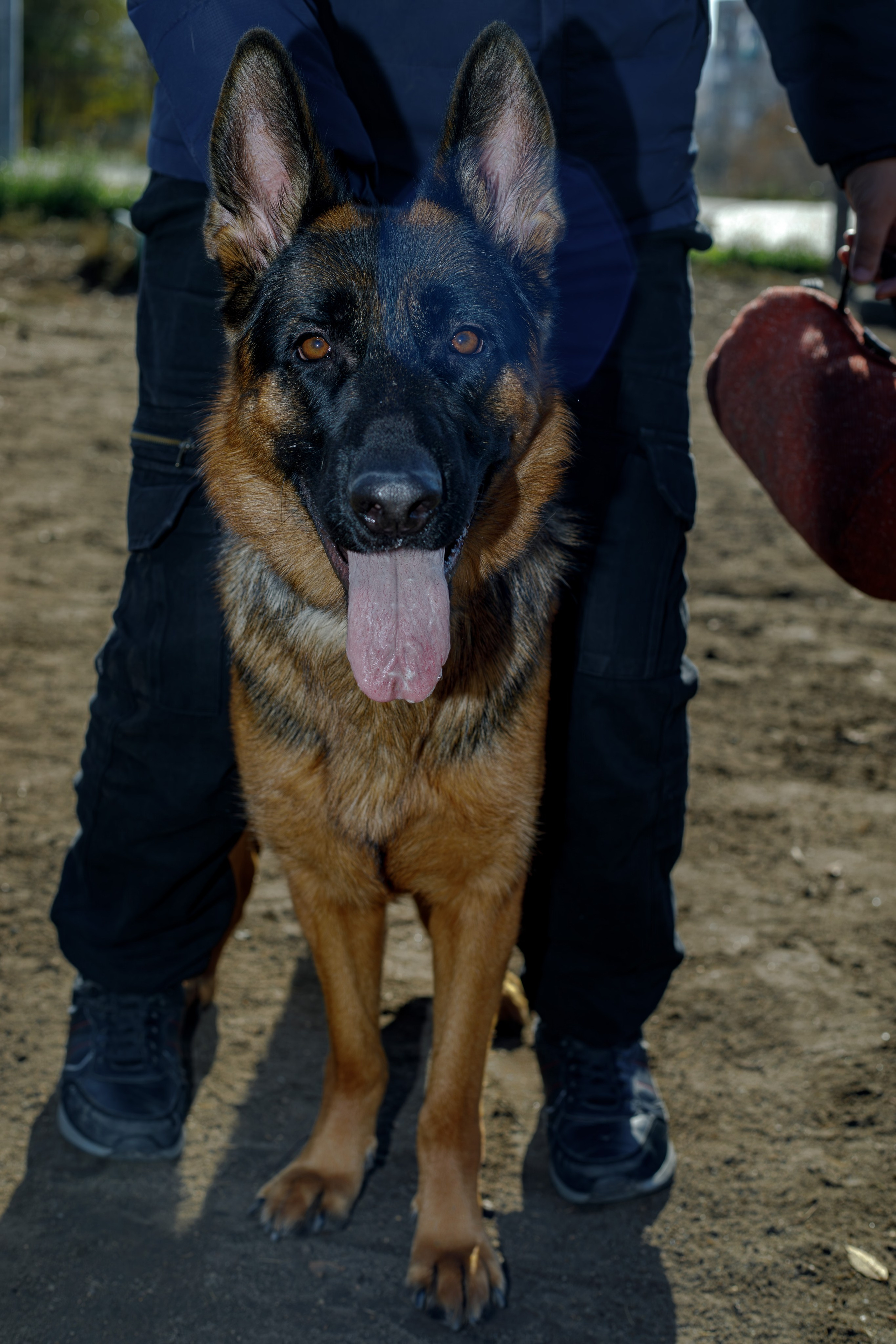 Ди и Джема. Фотограф Екатерина Козловская