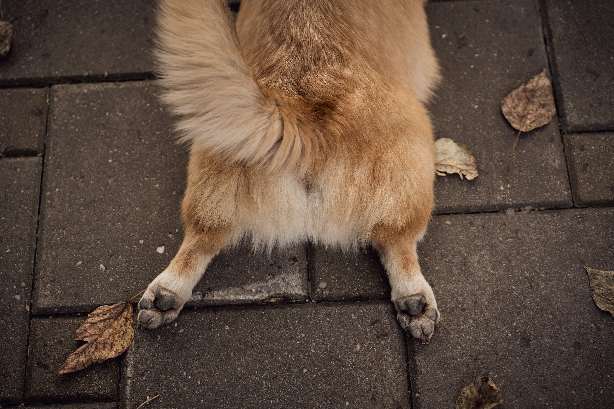 Марина. Ваш фотограф Анастасия Болотникова