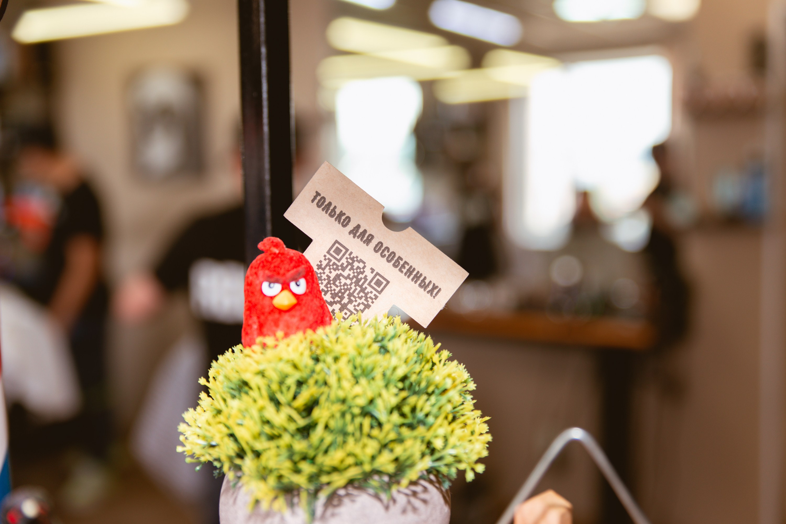 Рекламная фотосьемка. Фотограф и Видеограф Виктор Баранов в г. Мурманске, Мурманской области и по всей России