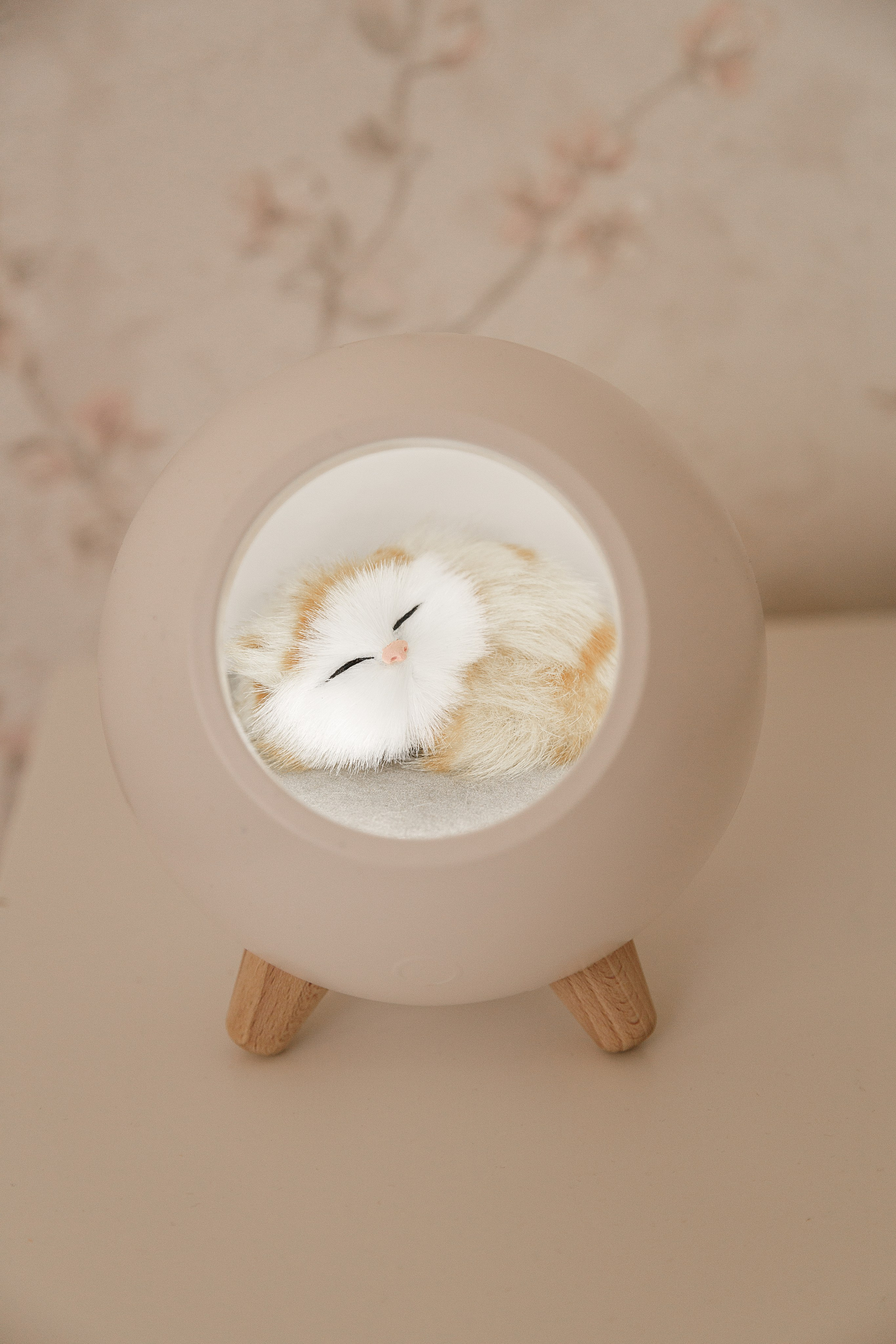 Проект «366»|2024|Фото каждый день. LENA GRACE photographer ||ЛЕНА ГРЭЙС фотограф