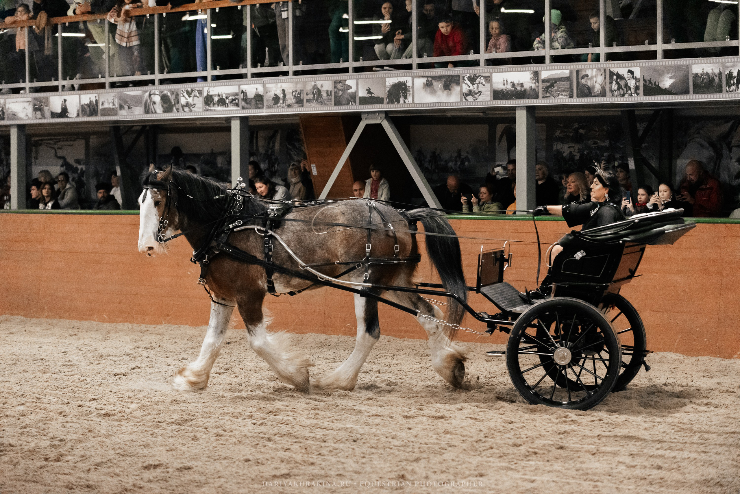 Конное представление «Дыхание Звёзд». Конный фотограф Куракина Дарья • Фотосессии с лошадьми