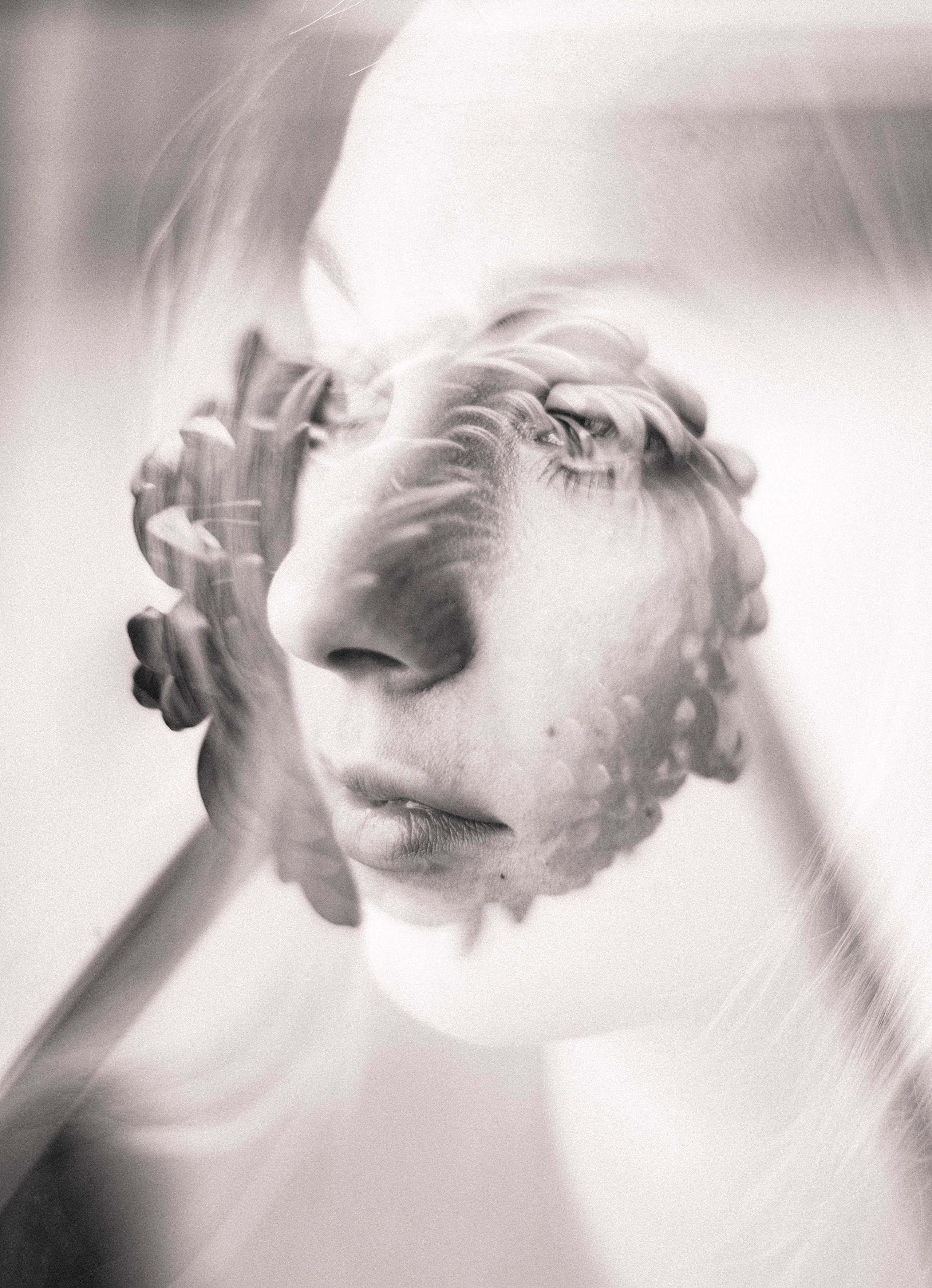 Цветочное настроение. Foto-creator Alisa Zobova
