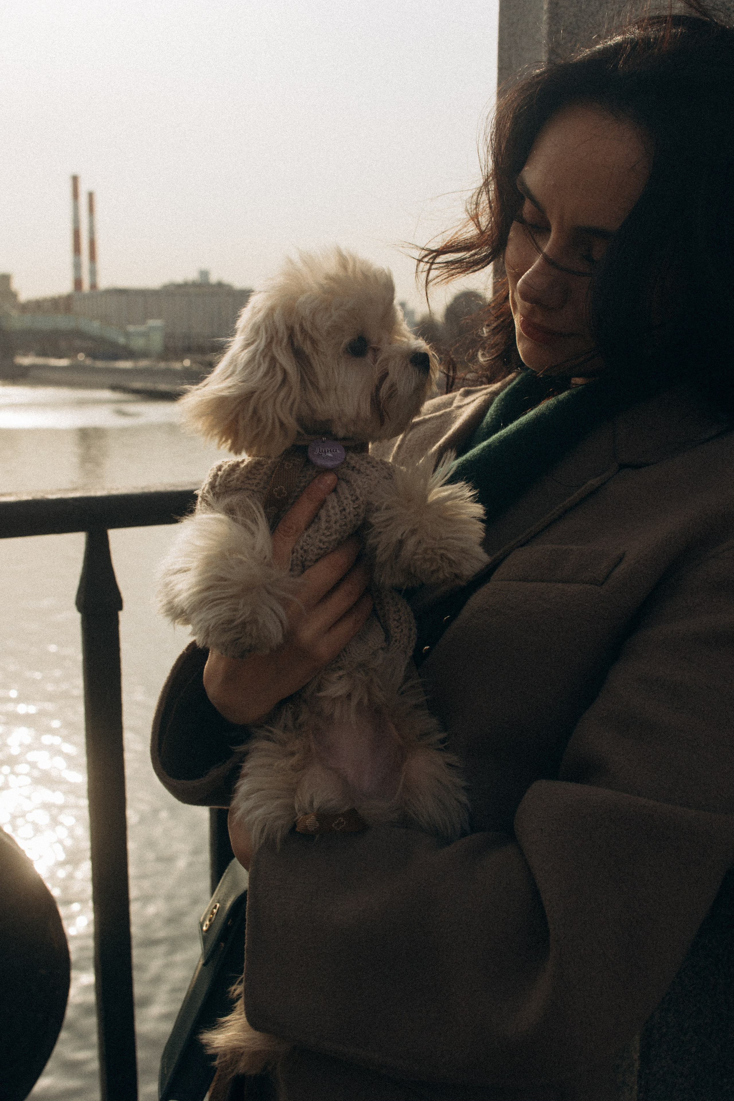 Маша, Лиза и Луна. Фотораф — анималист Мария Шистка