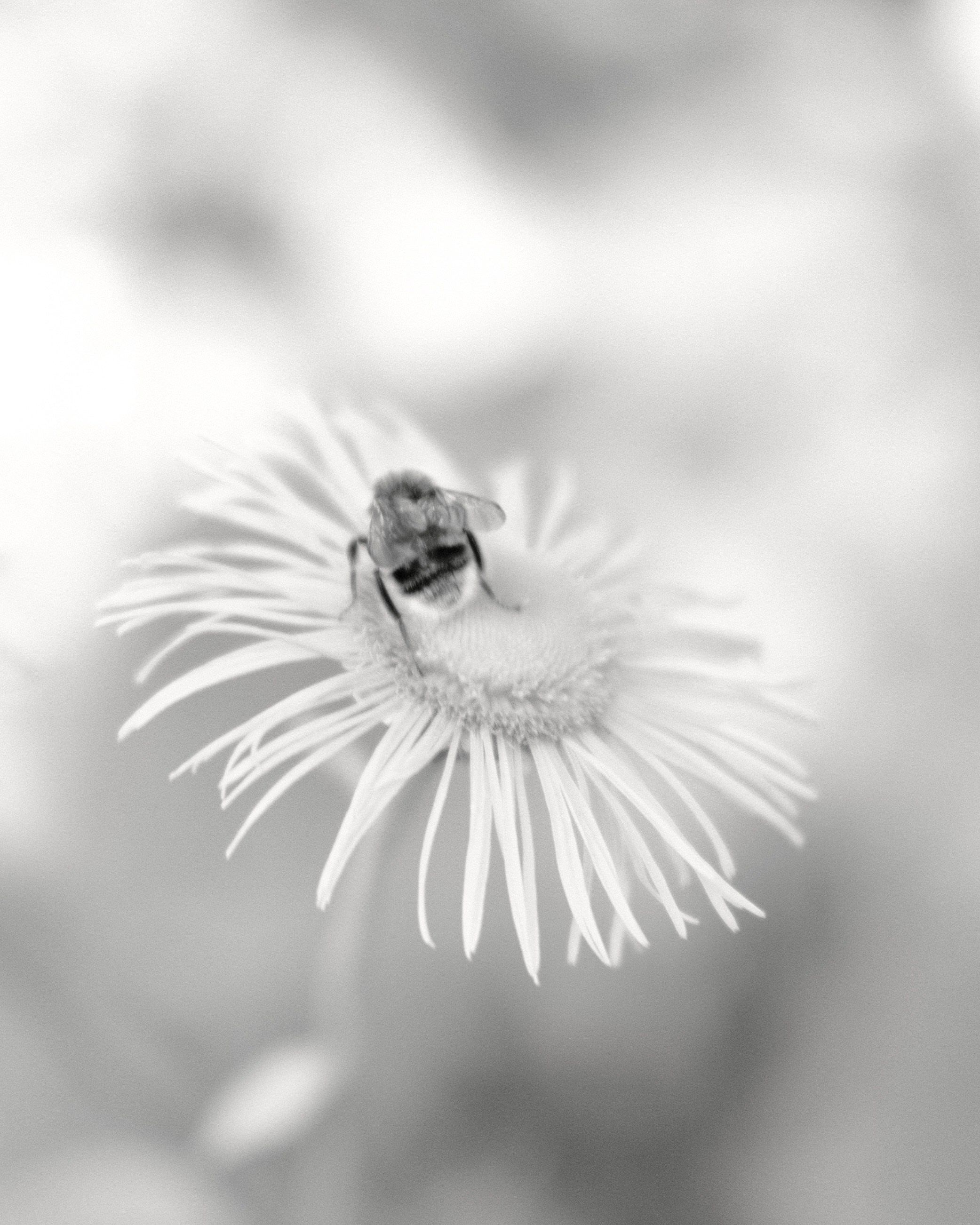 Природа. Фотограф Маргана Лоция