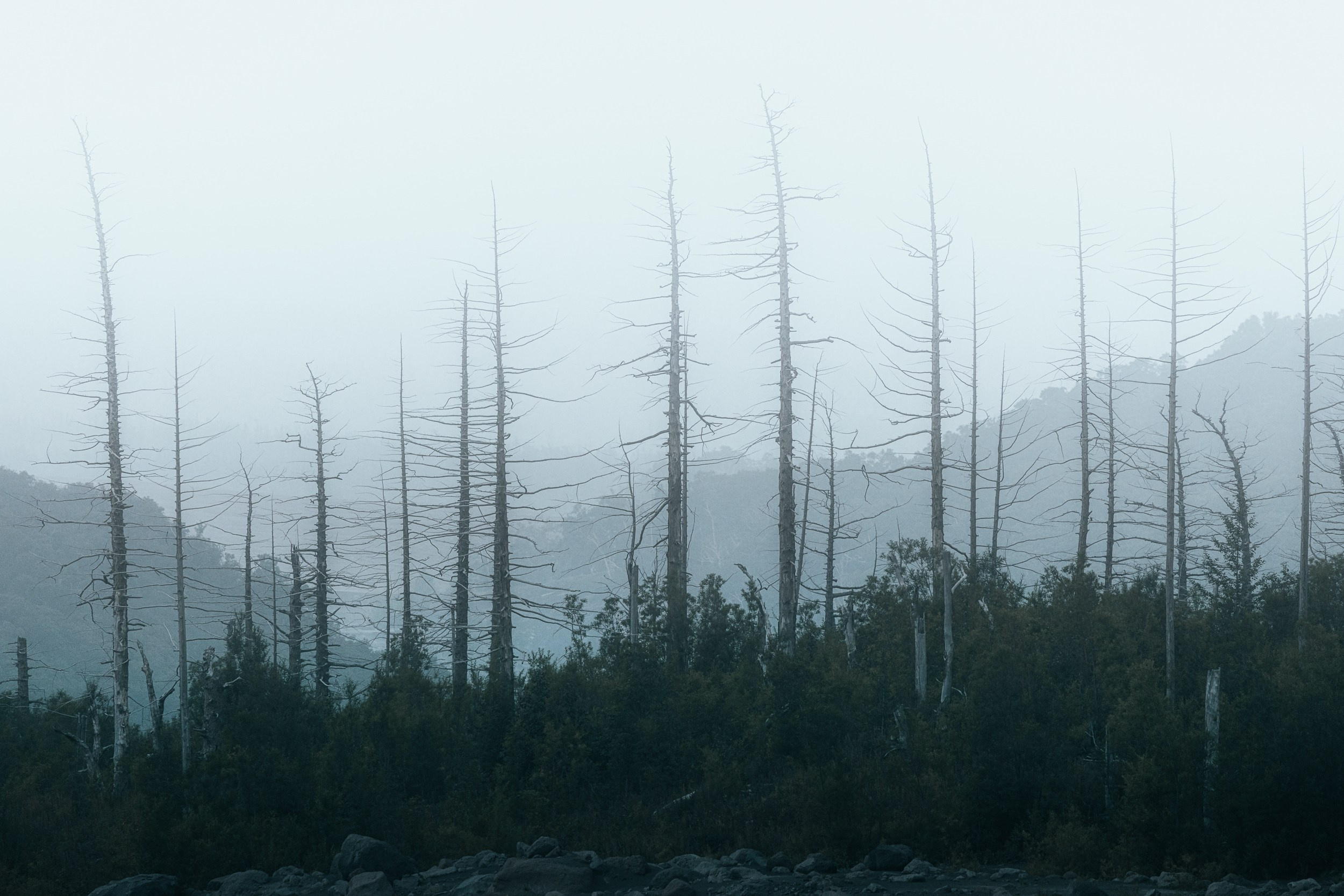 Пейзаж • Landscape. Елена Ивановой • Профессиональный фотограф