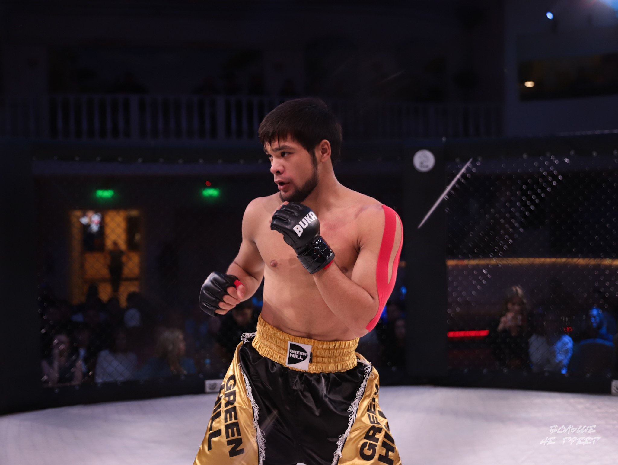 SABR FIGHTING. Больше не греет