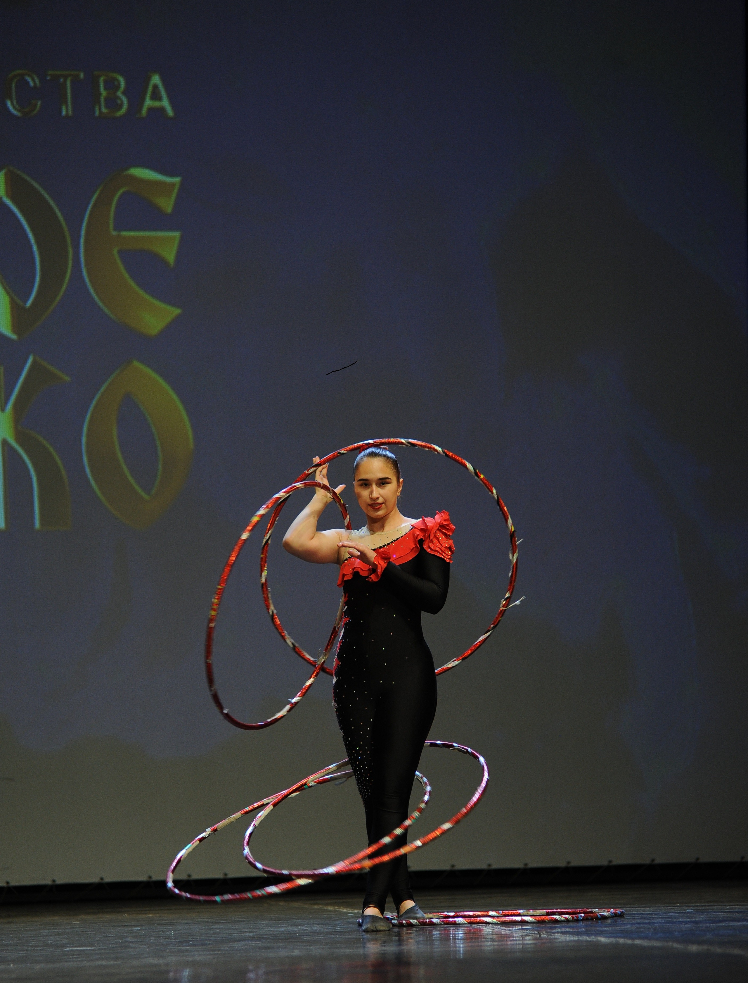 16 ноября, г. Красноярск. Золотое яблочко