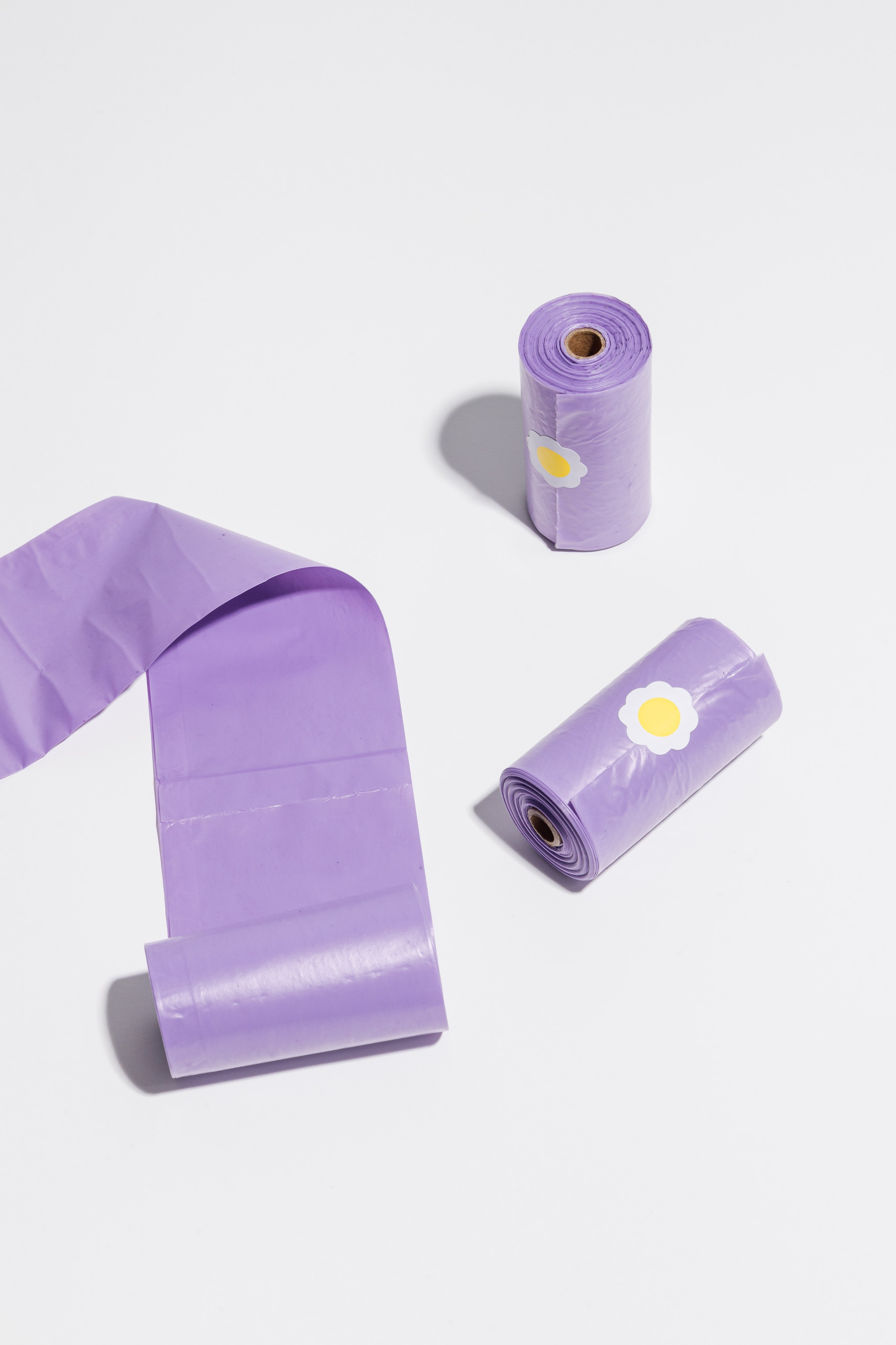 In good company для собак. Фотограф в Москве Татьяна Драгунова